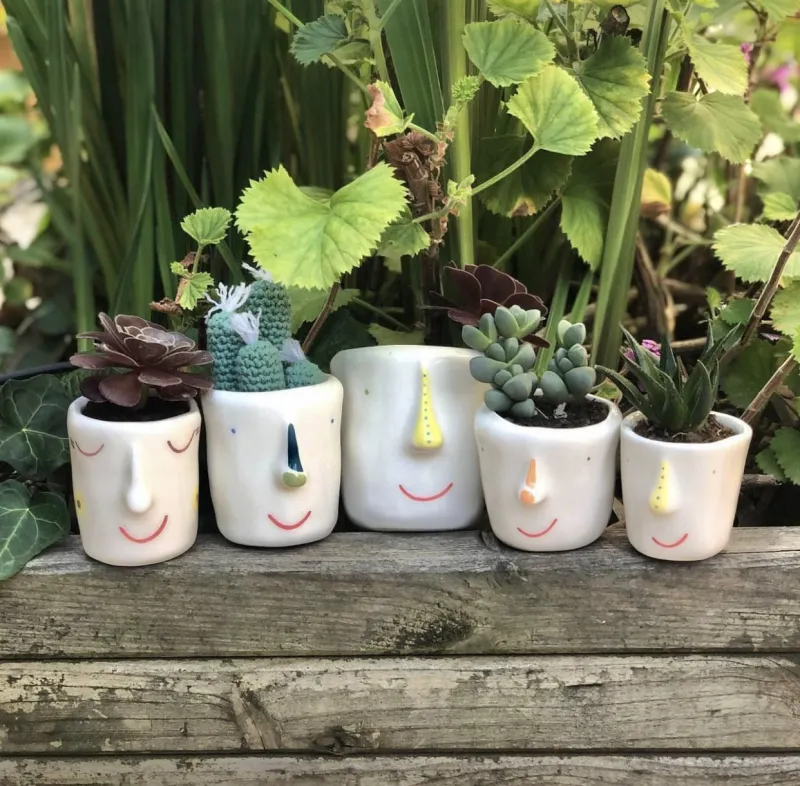 Pompilio Plants