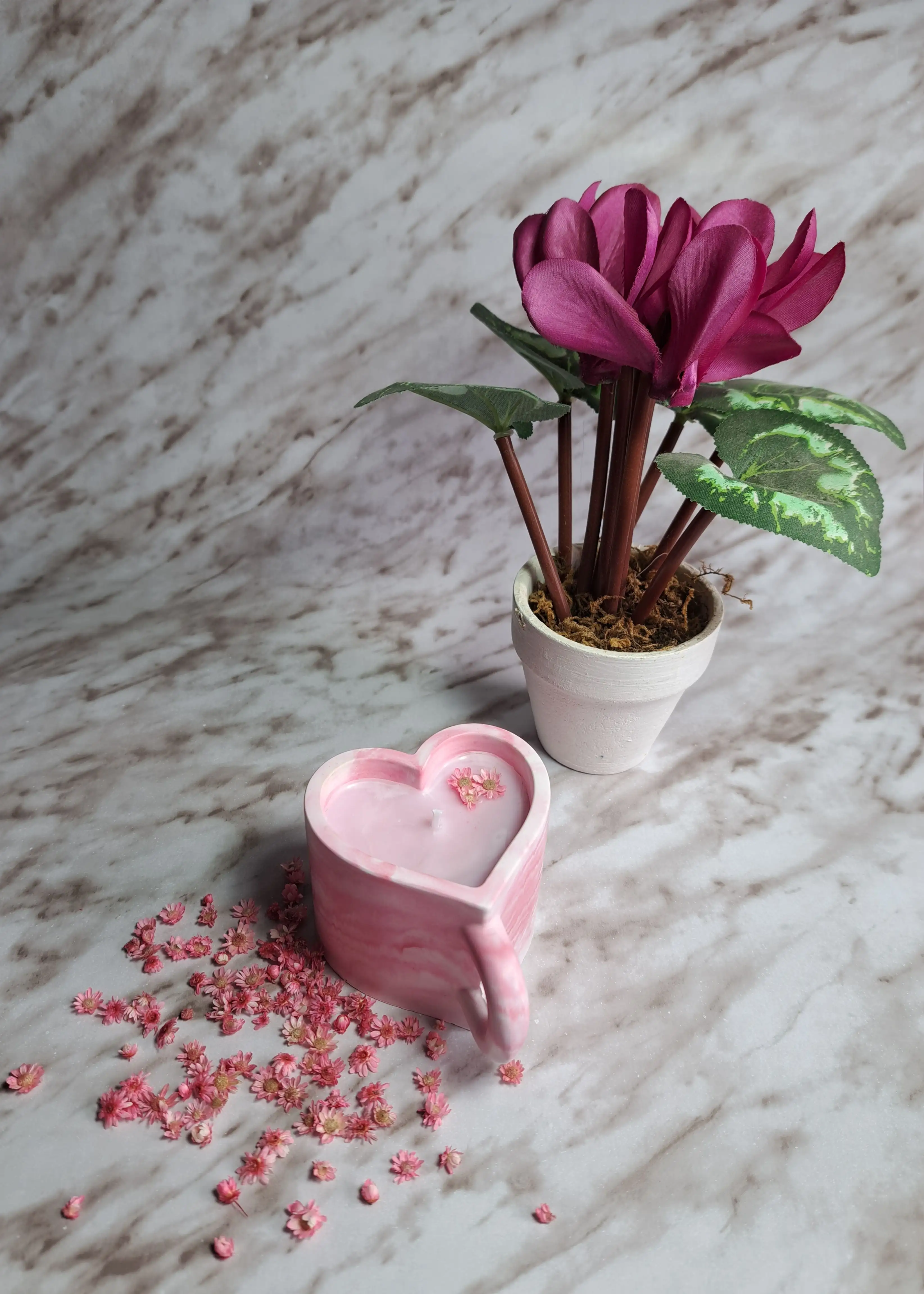 Vela cherry blossom