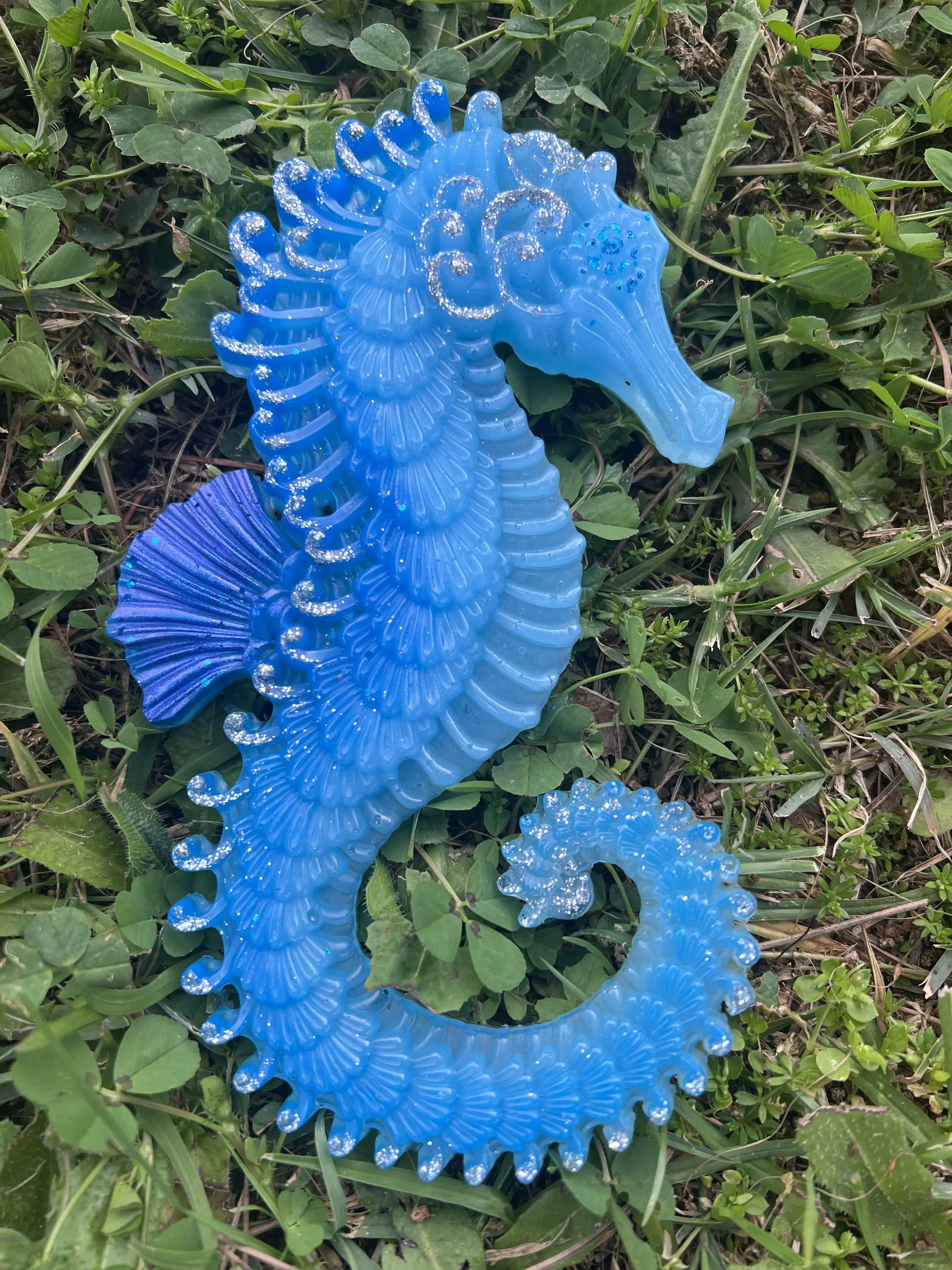 Caballitos de mar - Imagen 3
