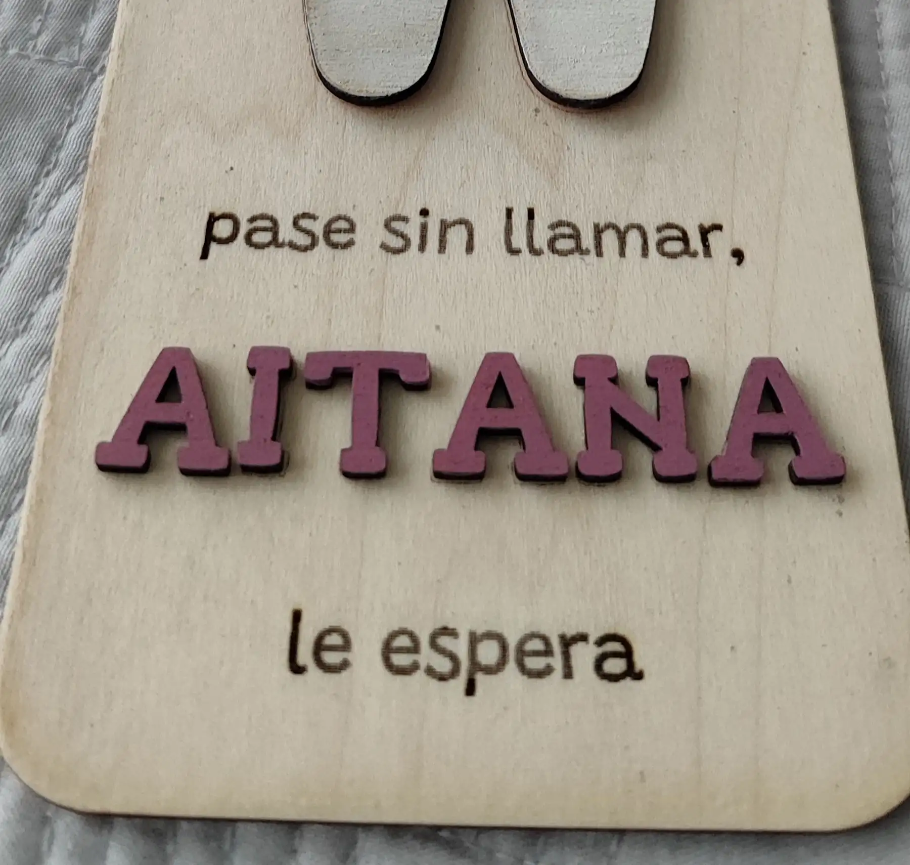 Placa Sr. PÉREZ - Imagen 2