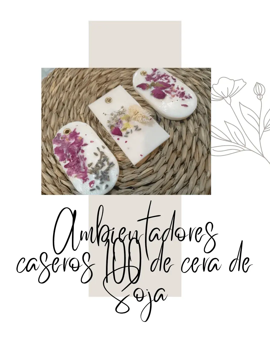 Ambientadores aromáticos de Soja