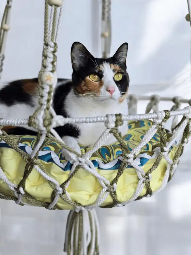 Hamaca para gato tamaño grande 45cm