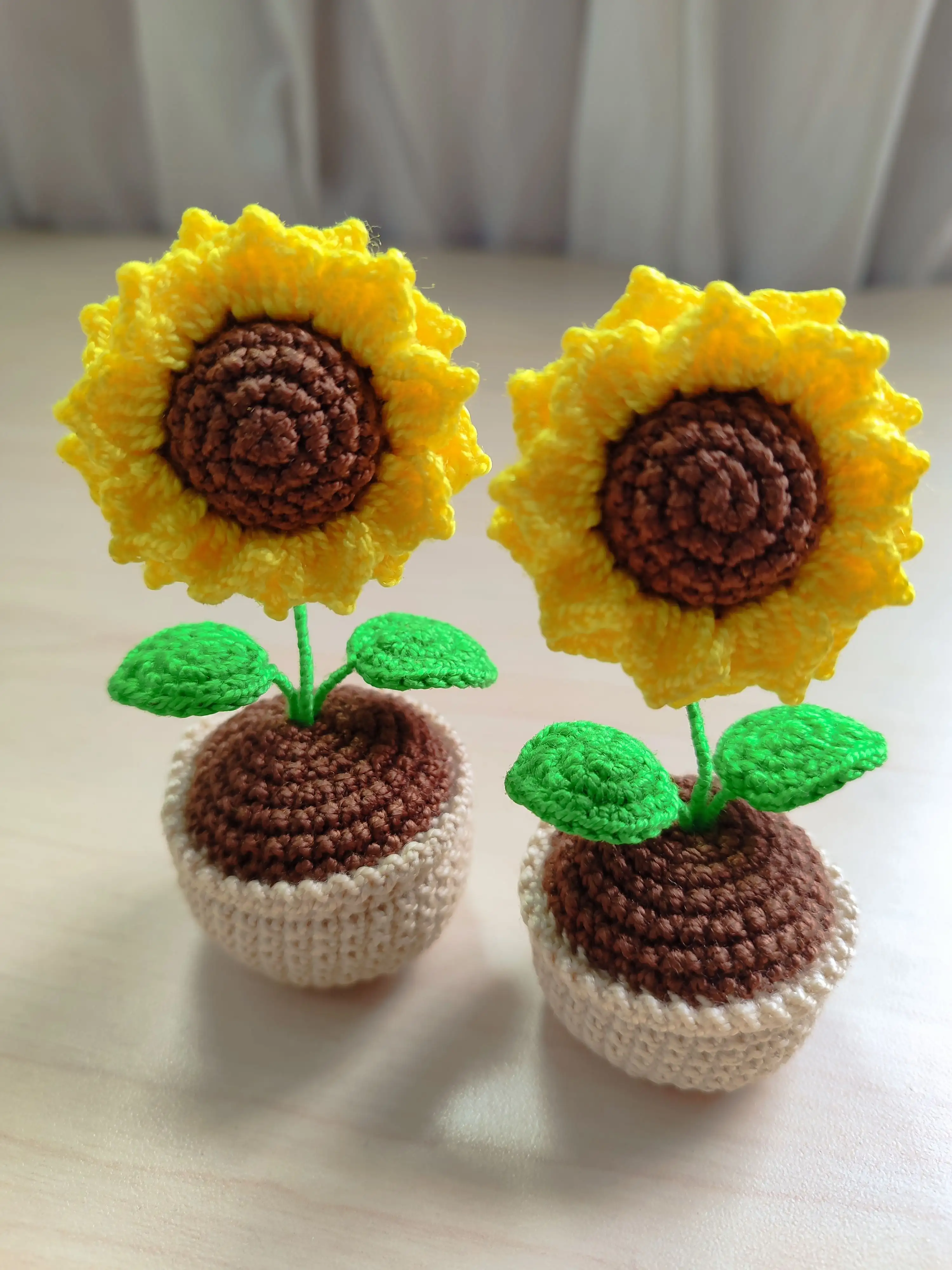 Mini Maceta de Girasol 