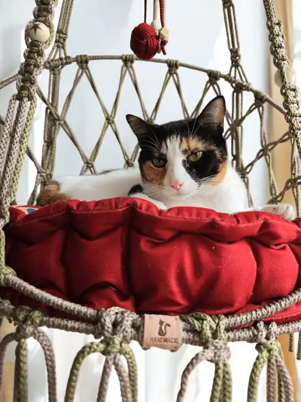 Silla colgante para gato - Imagen 2