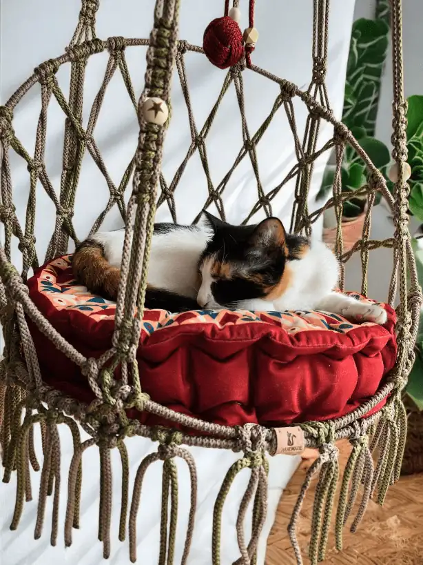Silla colgante para gato - Imagen 4