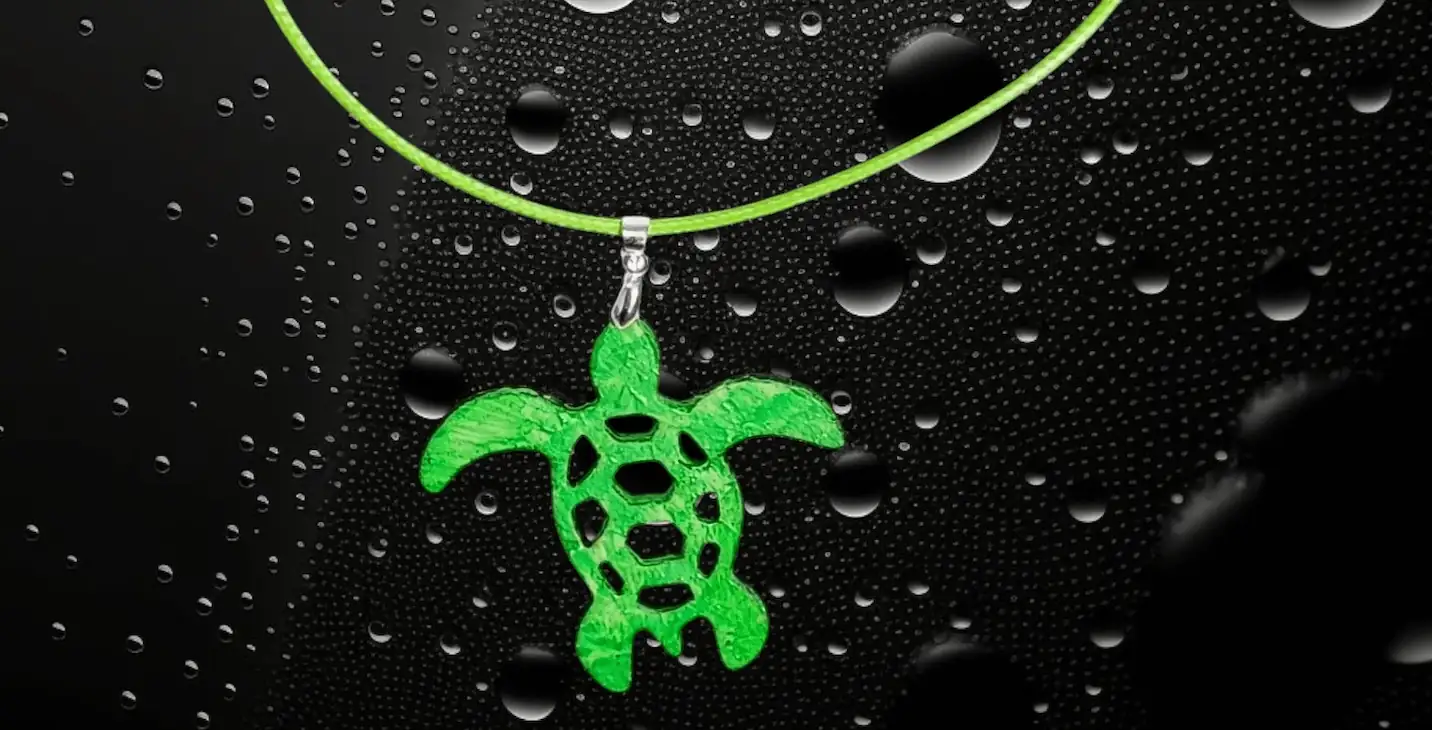 Conjunto tortuga - Imagen 2