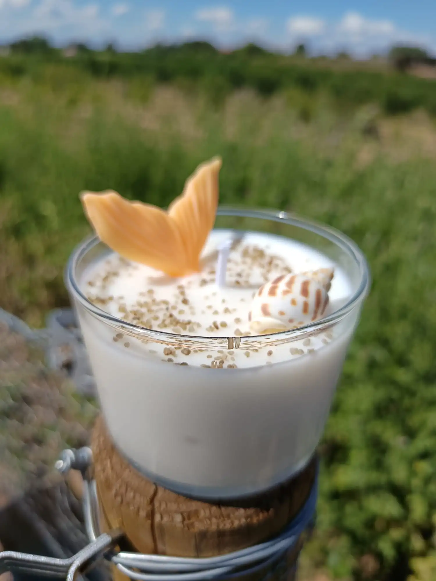 Vela de sandía - Imagen 2