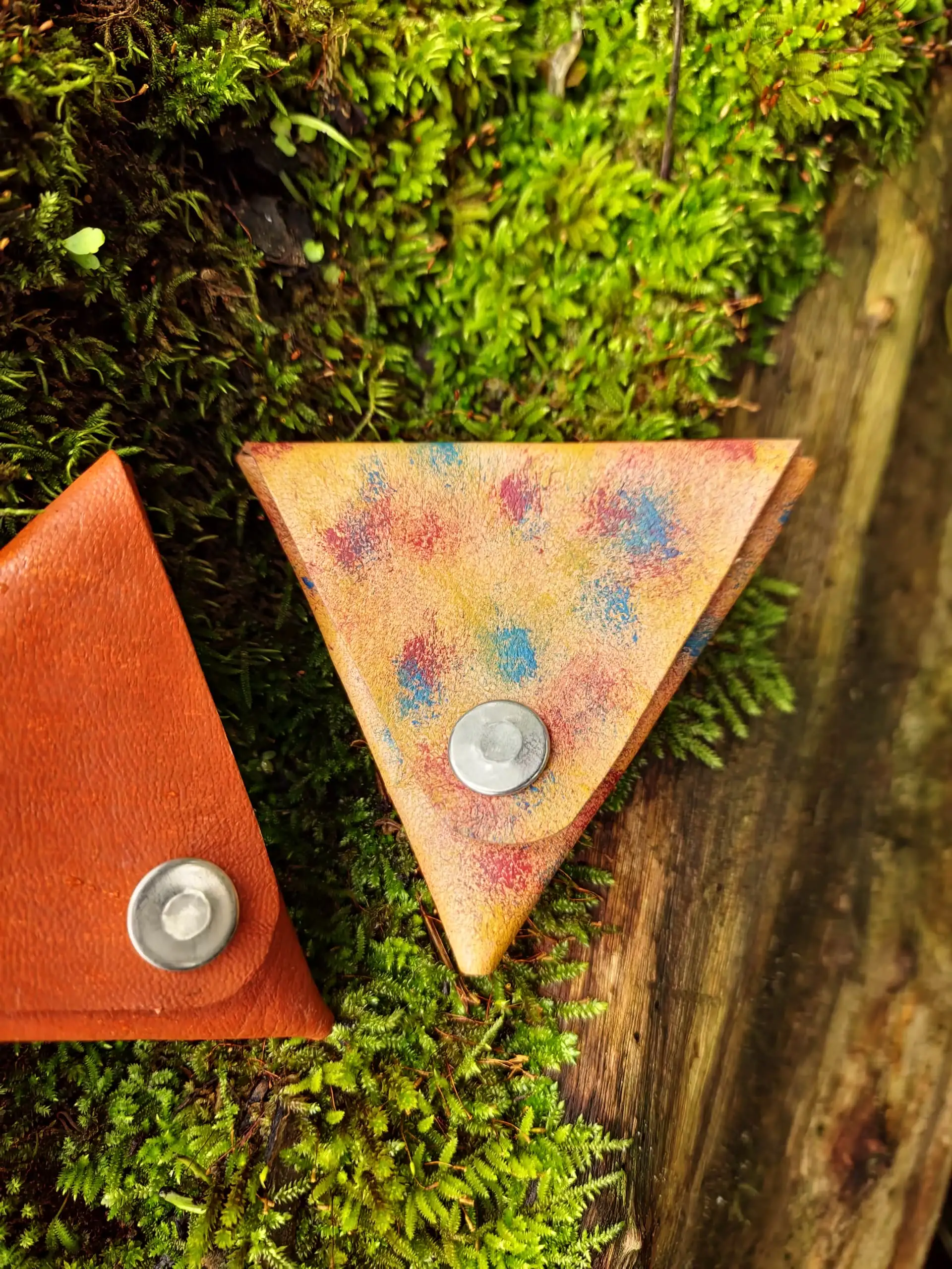 Monero triangular - Imagen 2