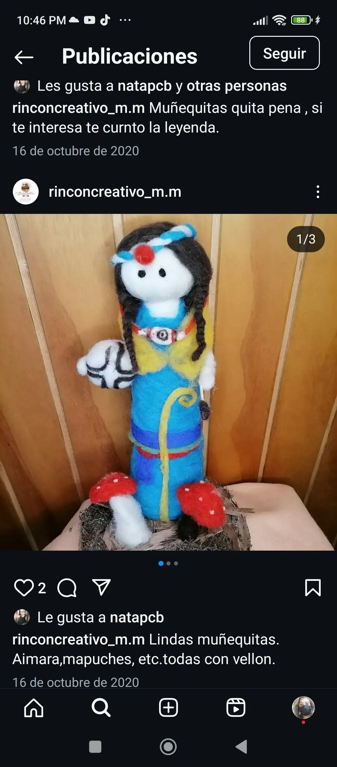 Artesanía en vellón