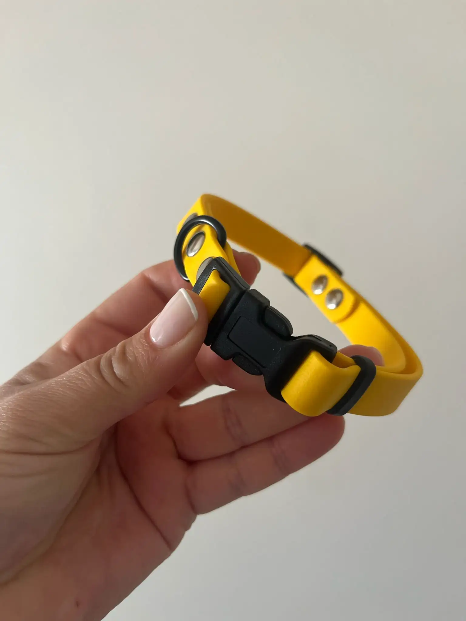Collar para perros Talla S - Imagen 3