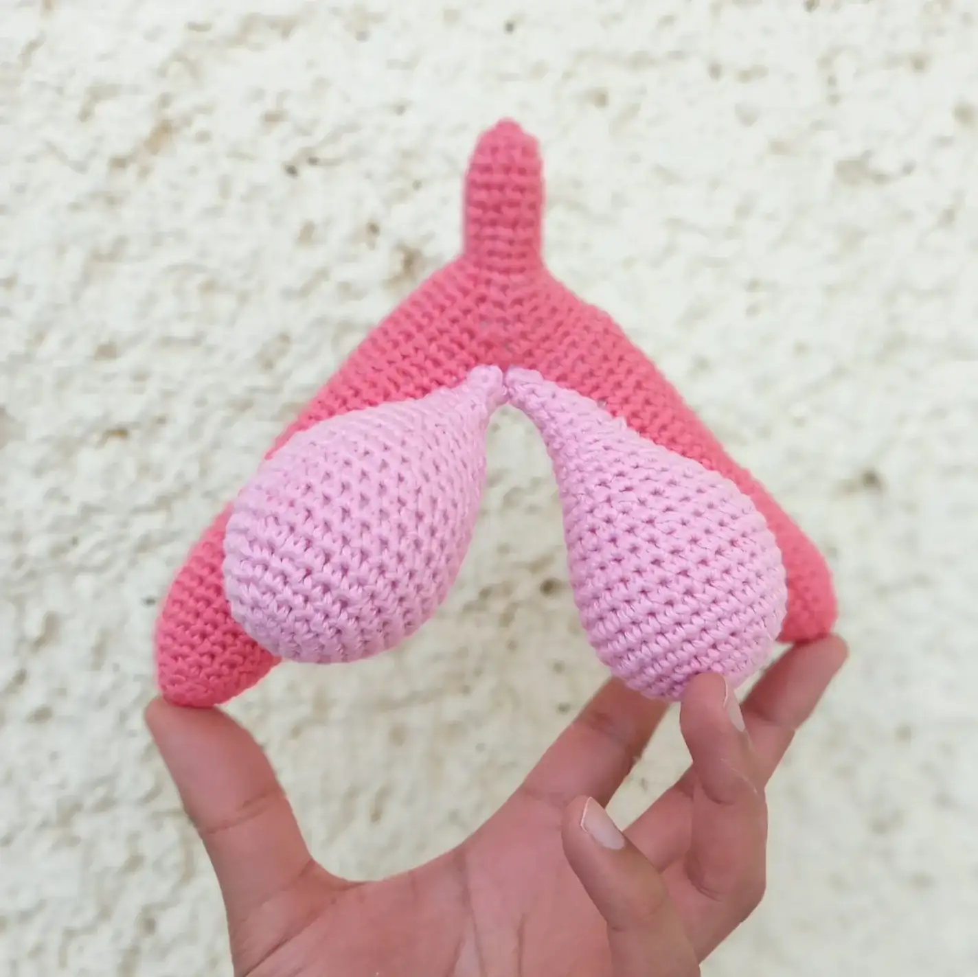 Kit didáctica aparato femenino  - Imagen 5