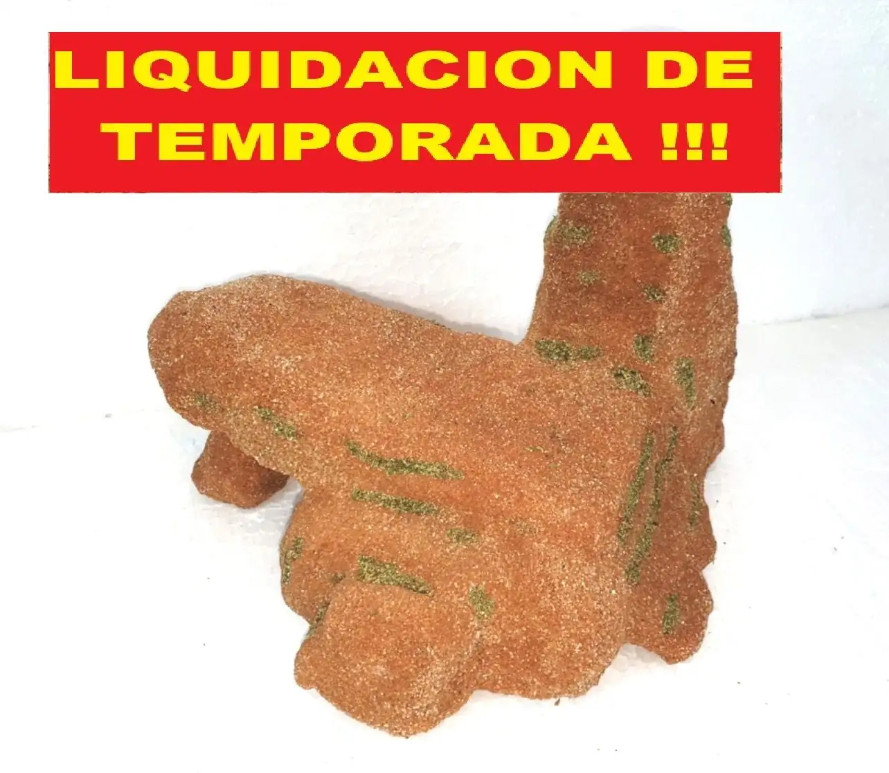 Zona de Reposo El Rey León - Imagen 2