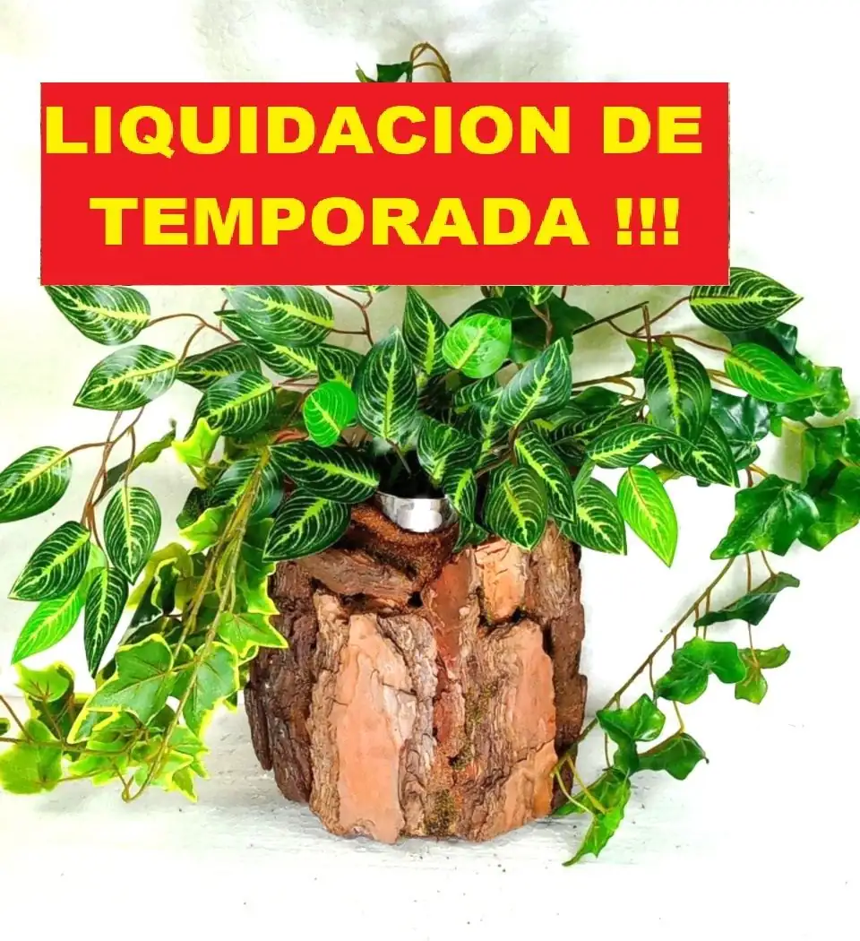 Soporte plantas terrario reptiles