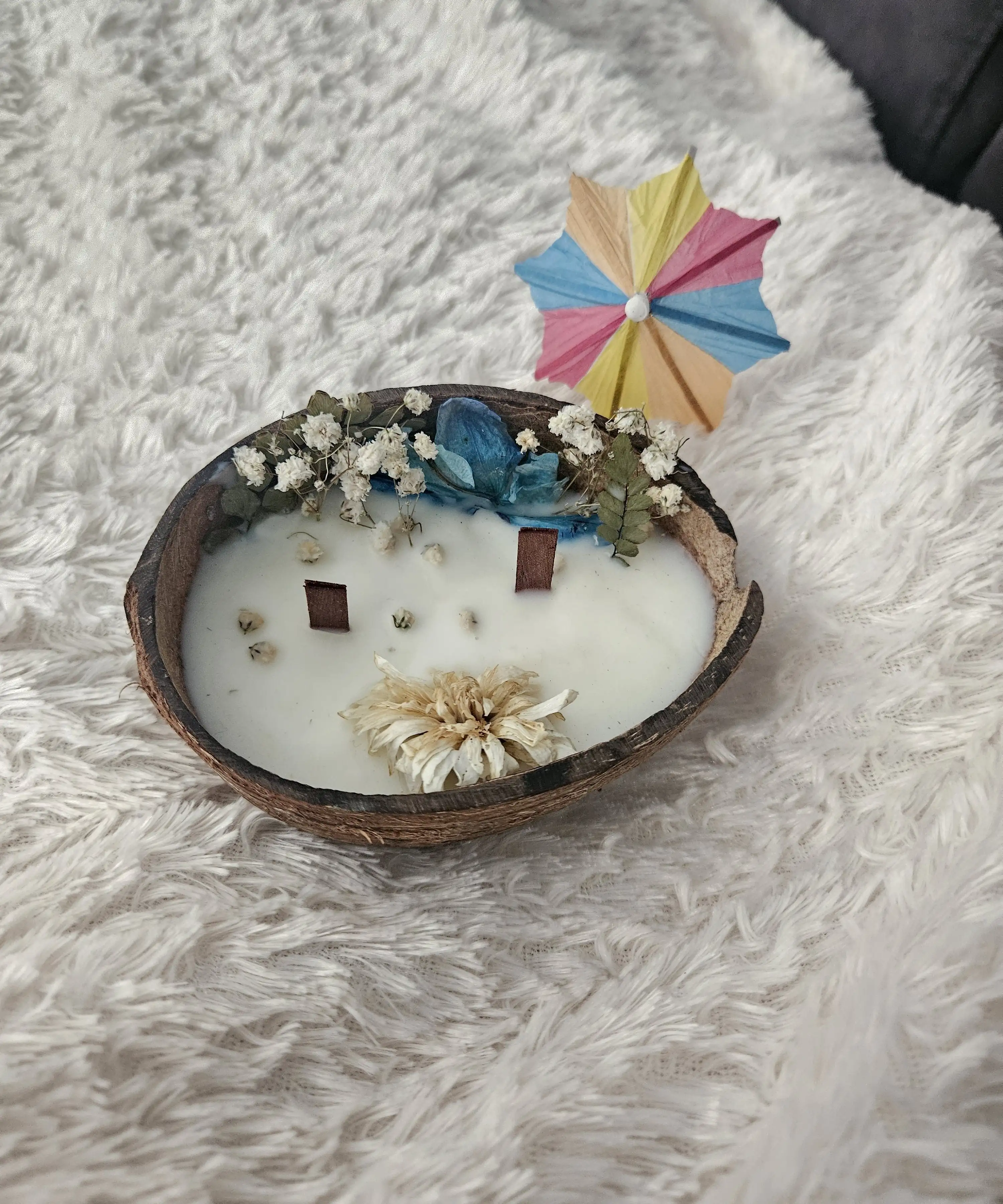 Vela coco