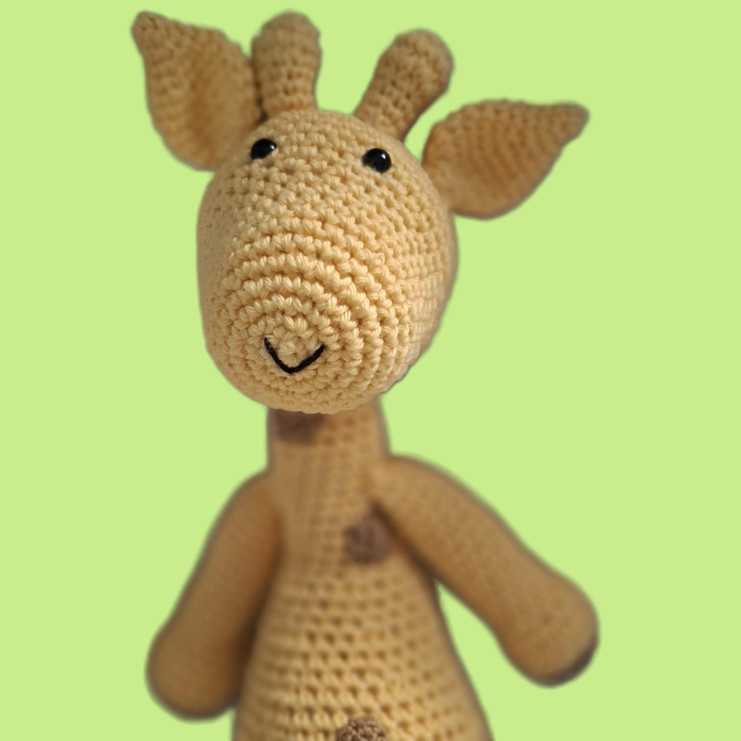 Jirafa Paca - Imagen 3
