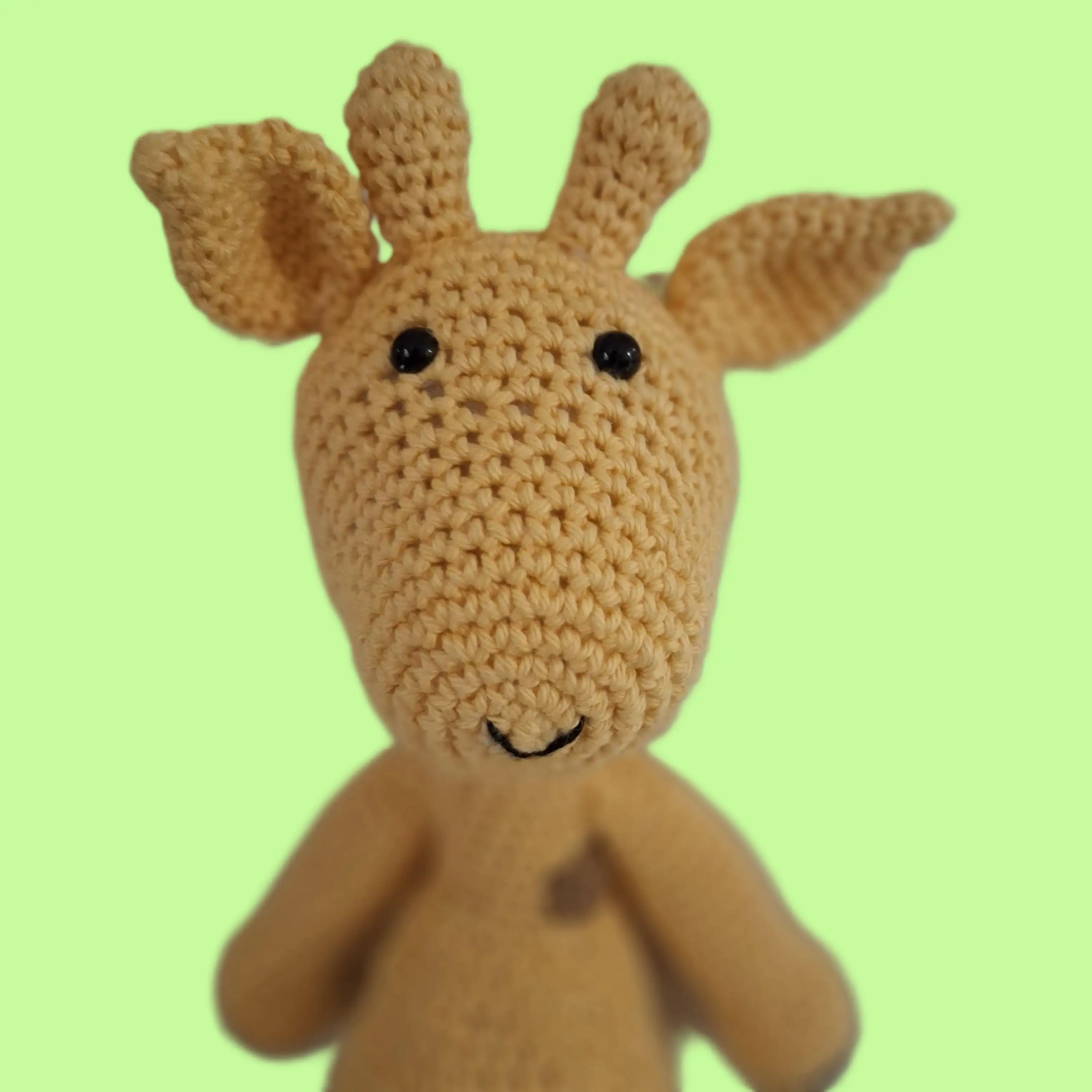 Jirafa Paca - Imagen 2