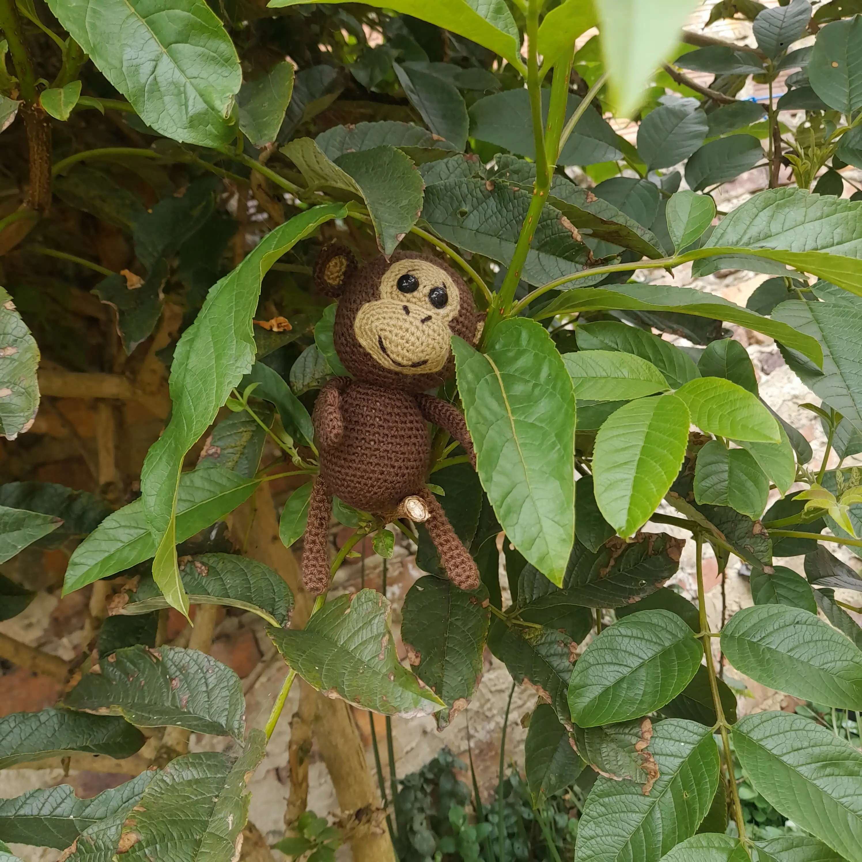 Amigurumi Mico - Imagen 2