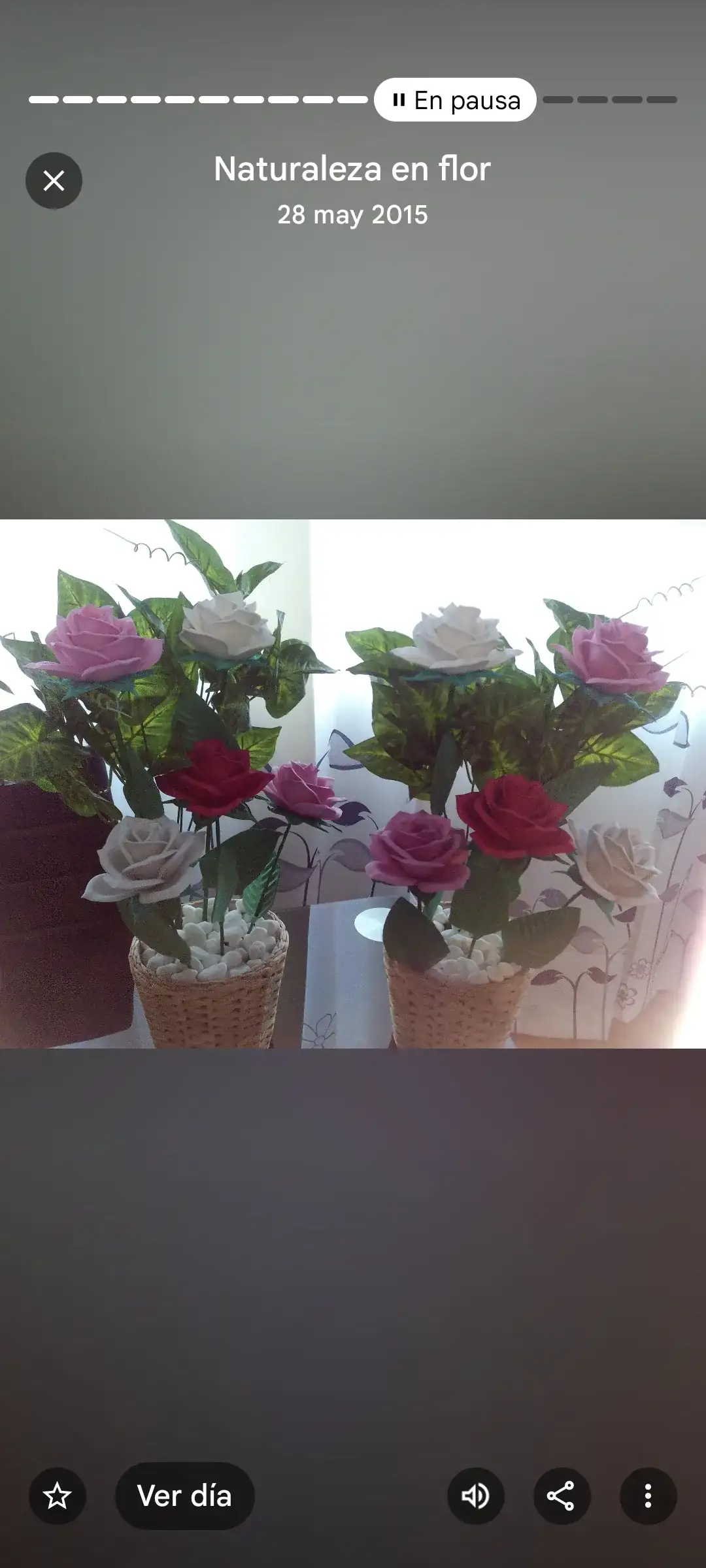 Rosas - Imagen 3