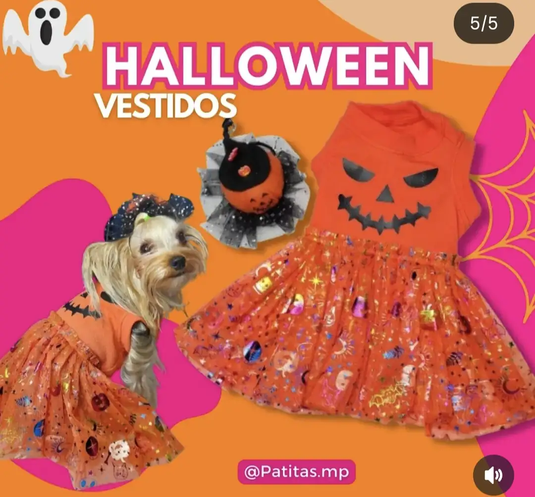 Disfraces caninos