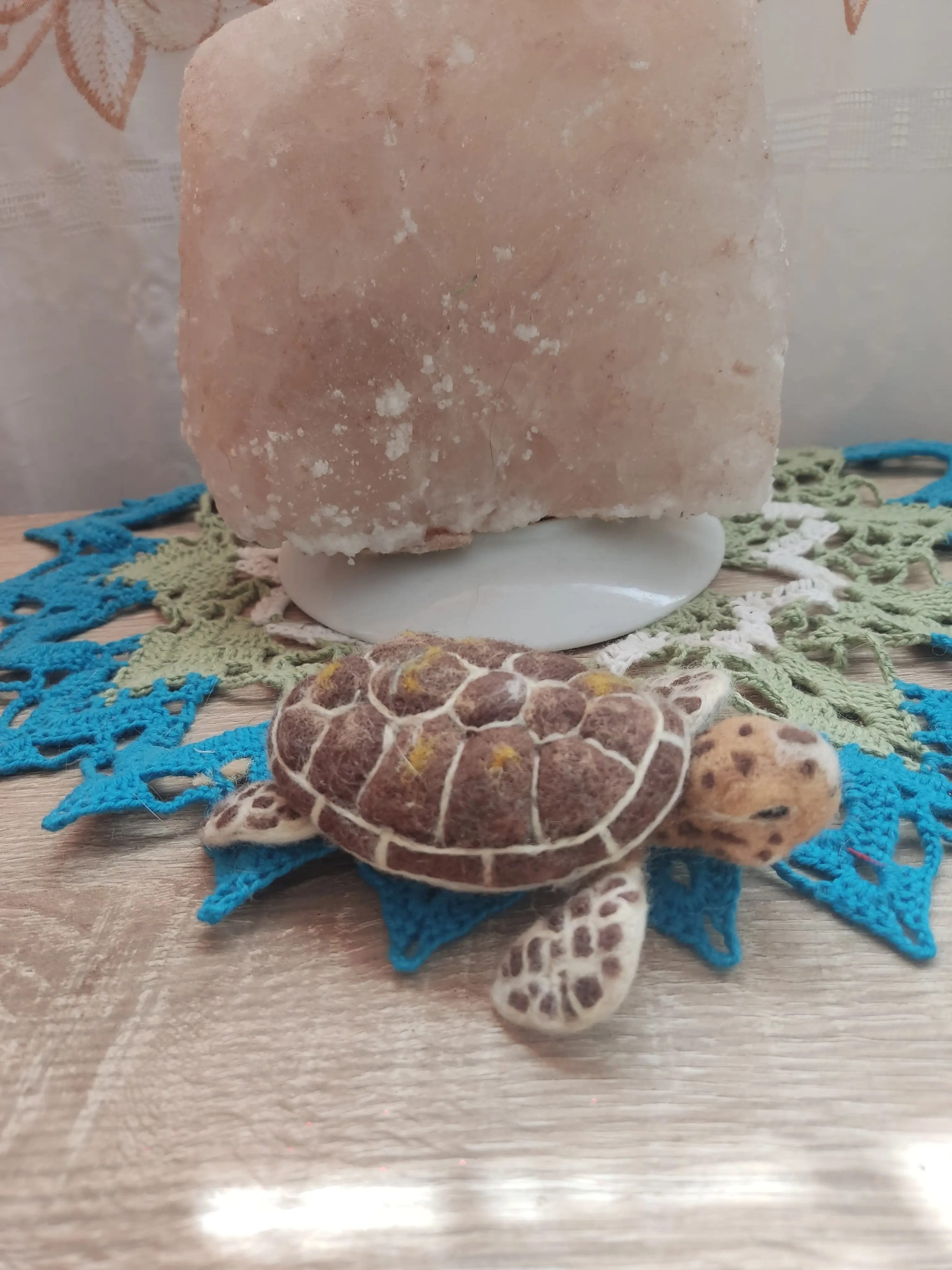 Tortuga - Imagen 4
