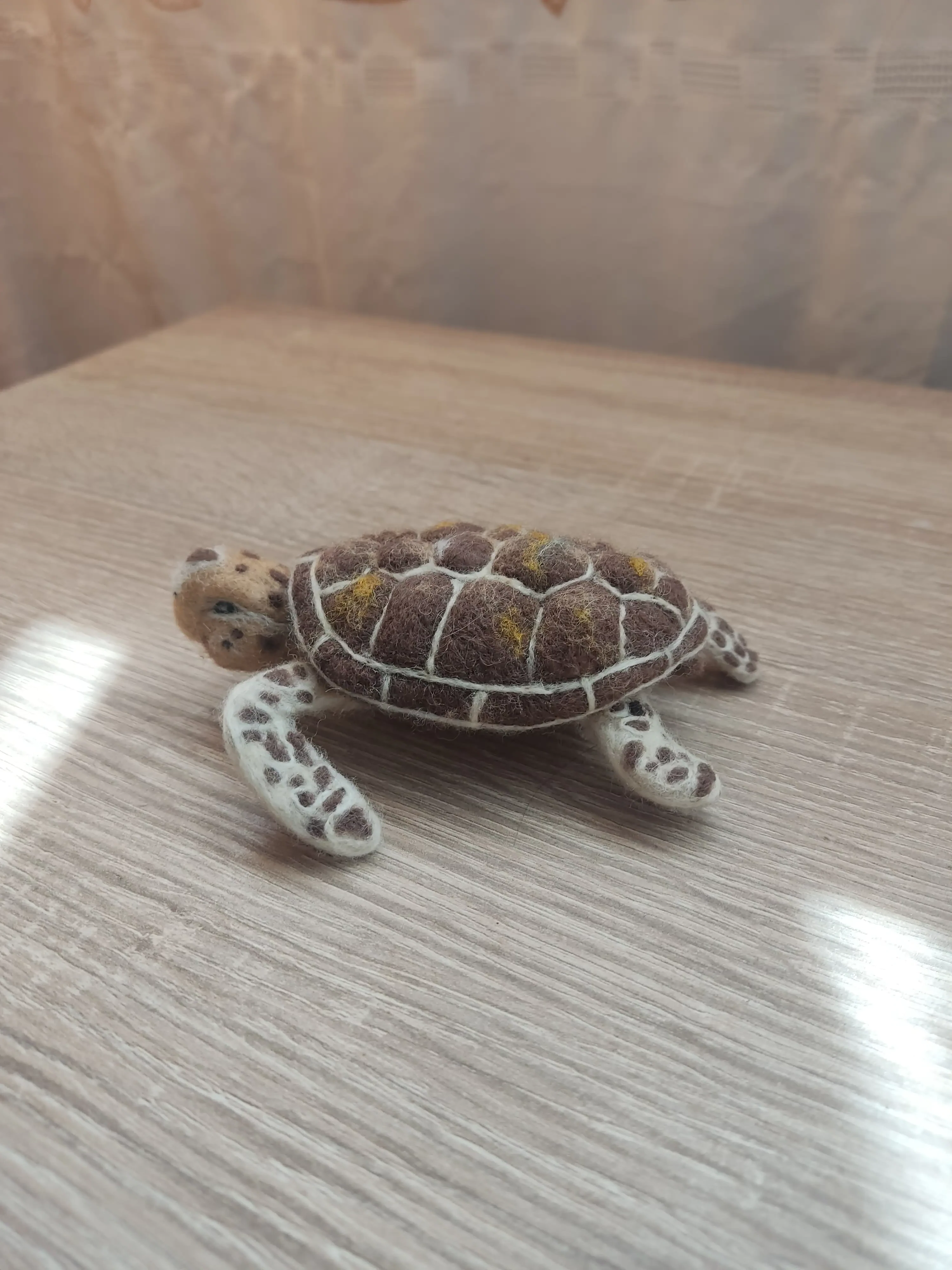 Tortuga - Imagen 3