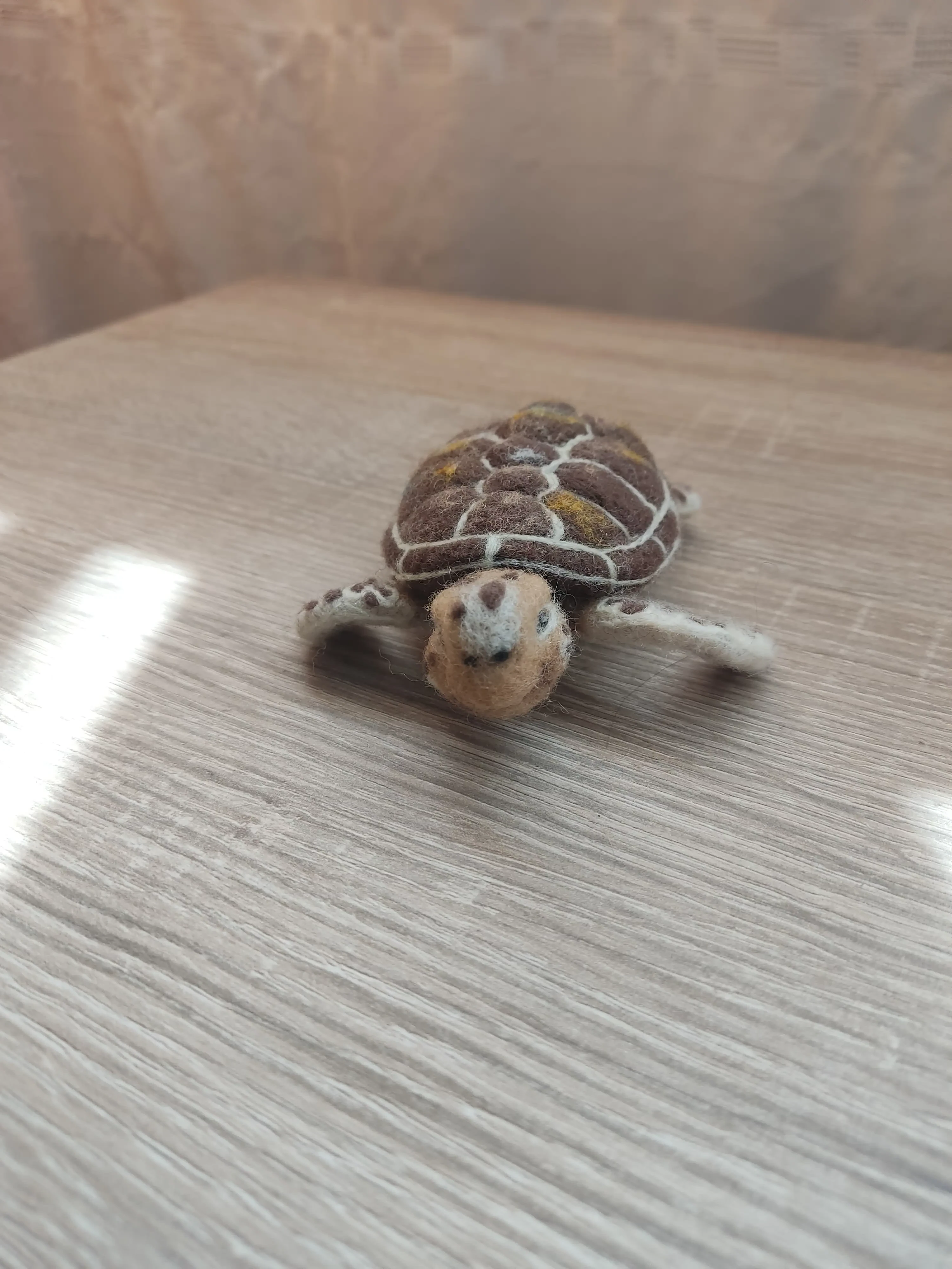 Tortuga - Imagen 2