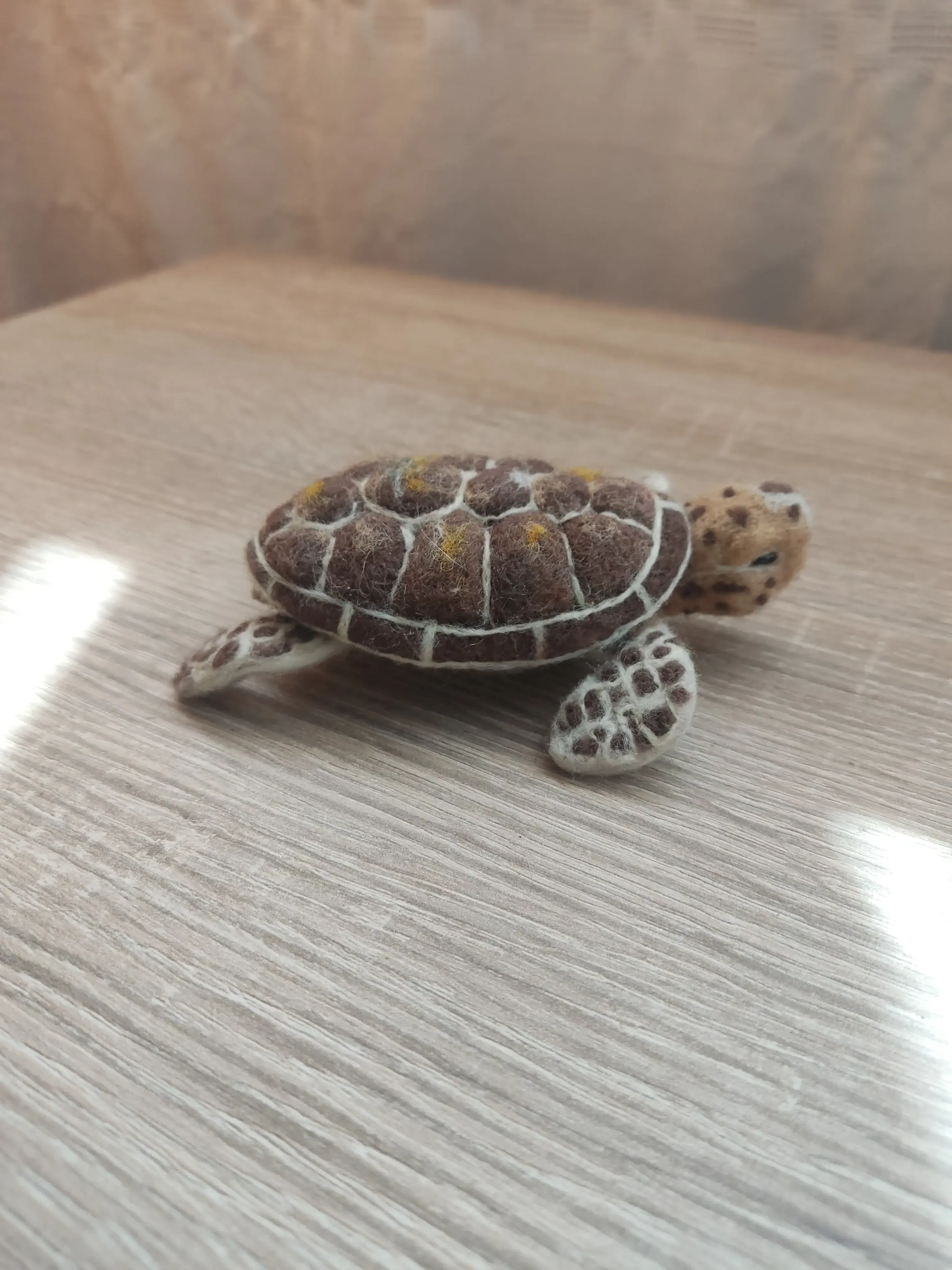 Tortuga