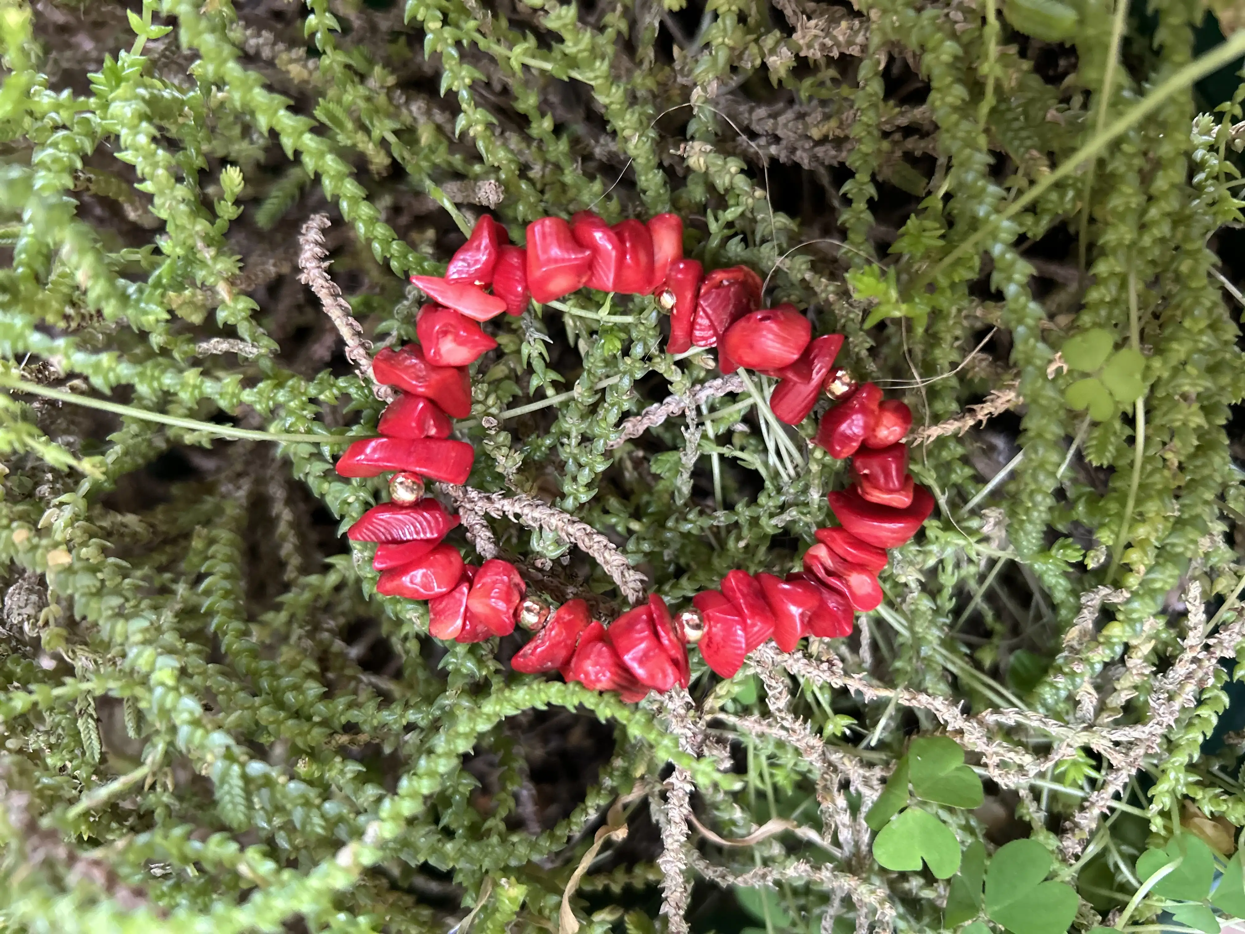 Pulseras - Imagen 2