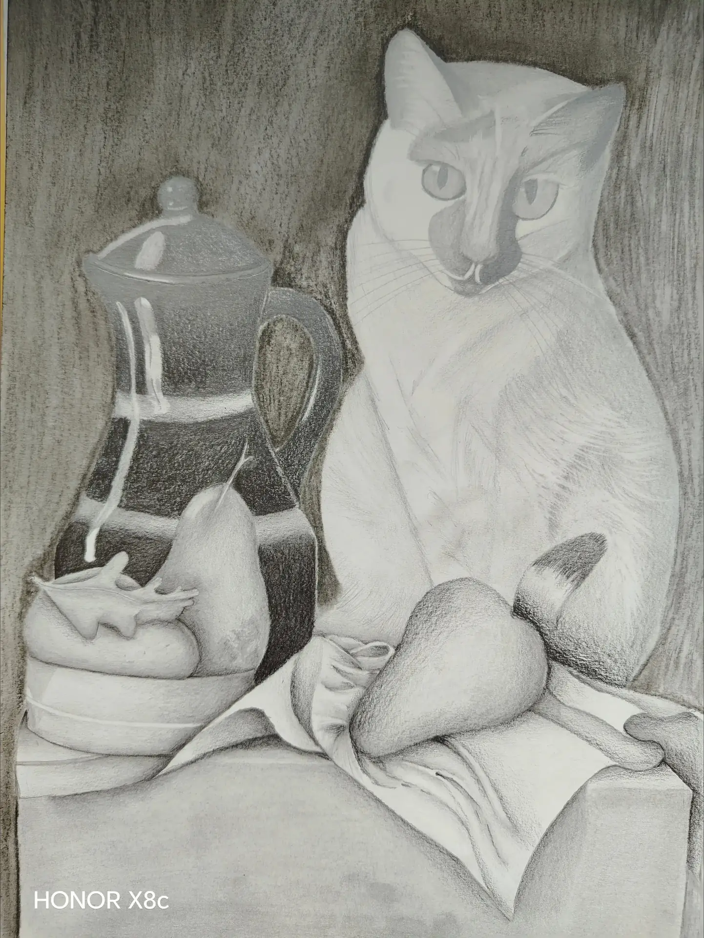 Gato pensativo
