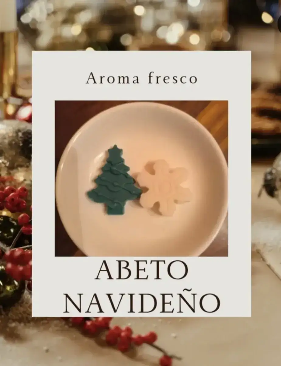 Wax melts colección navidad - Imagen 3