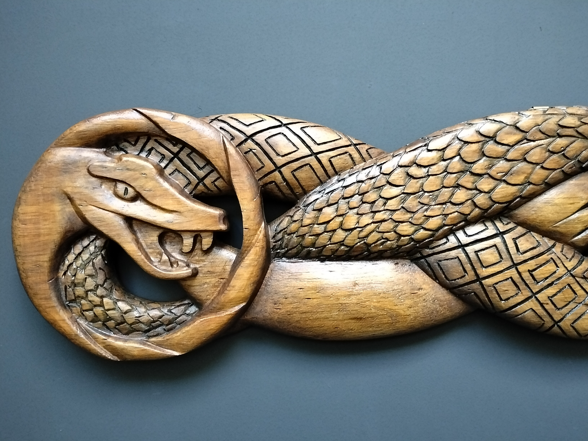 Serpiente triadica - Imagen 2