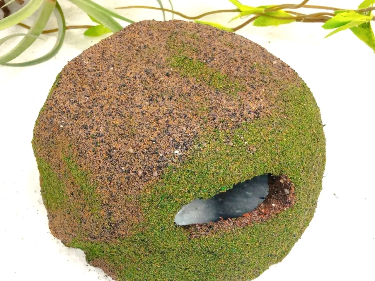 Refugio para reptiles - Imagen 2