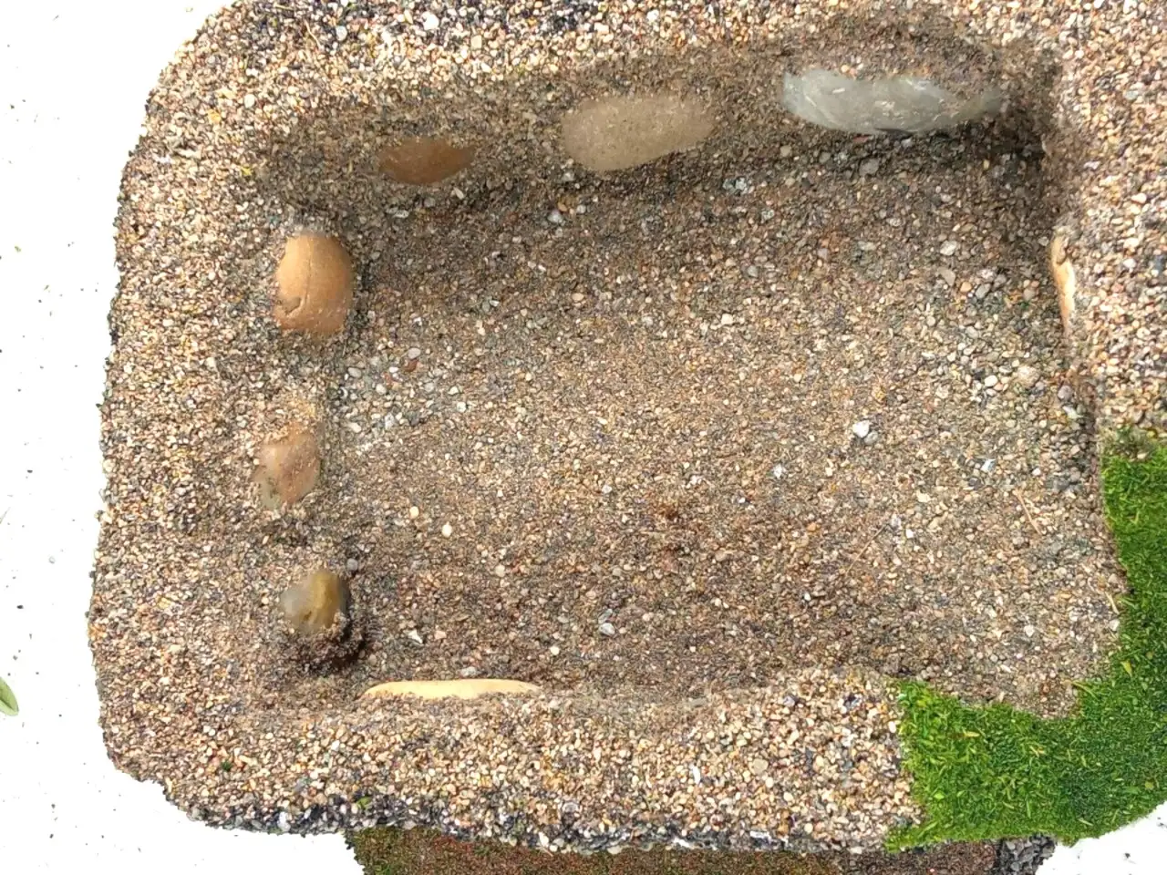 Refugio cueva de piedras para reptiles - Imagen 3