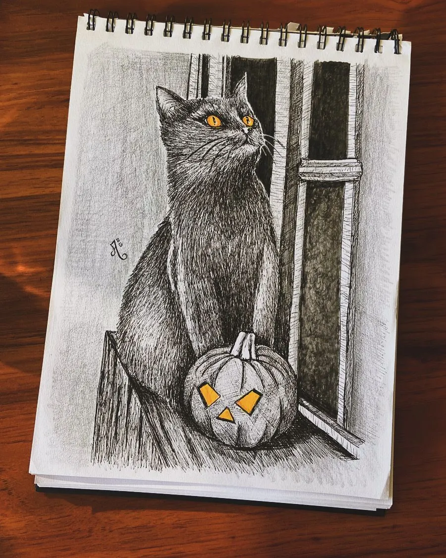 Gato con calabaza