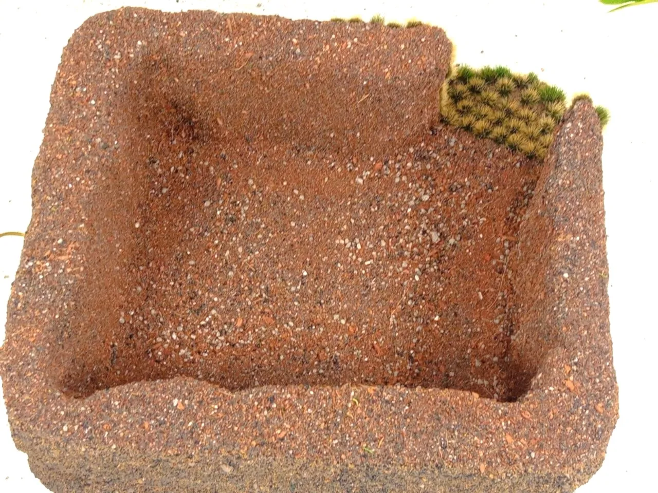 Refugio plano para reptiles - Imagen 5