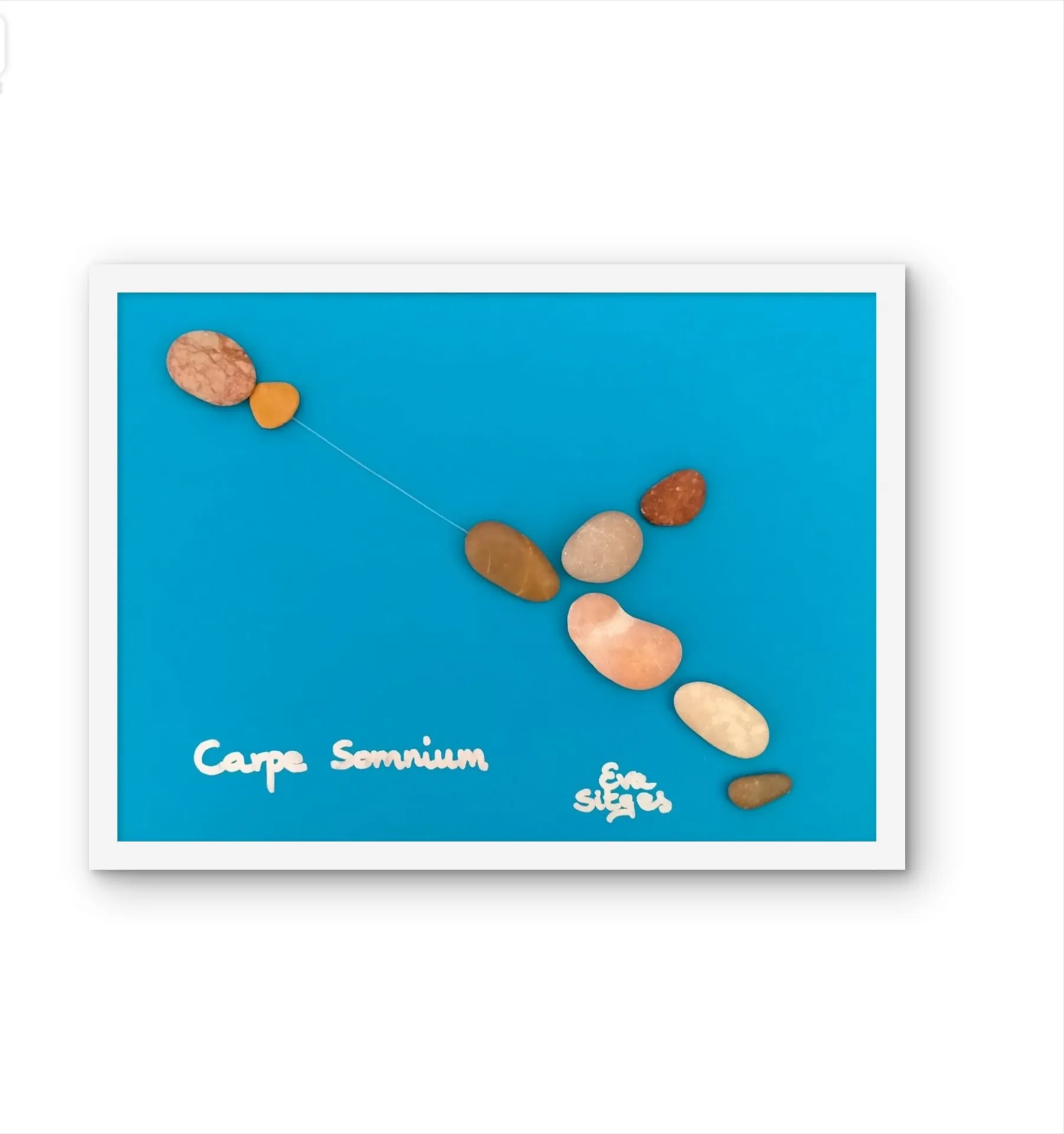 Cuadro Carpe Somnium. Persigue tus Sueños