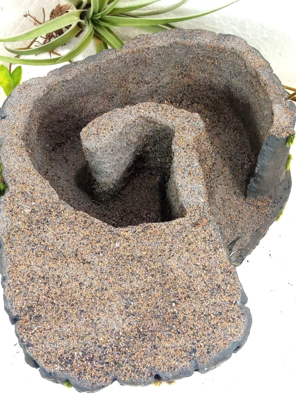 Refugio doble reptiles A-183 - Imagen 3
