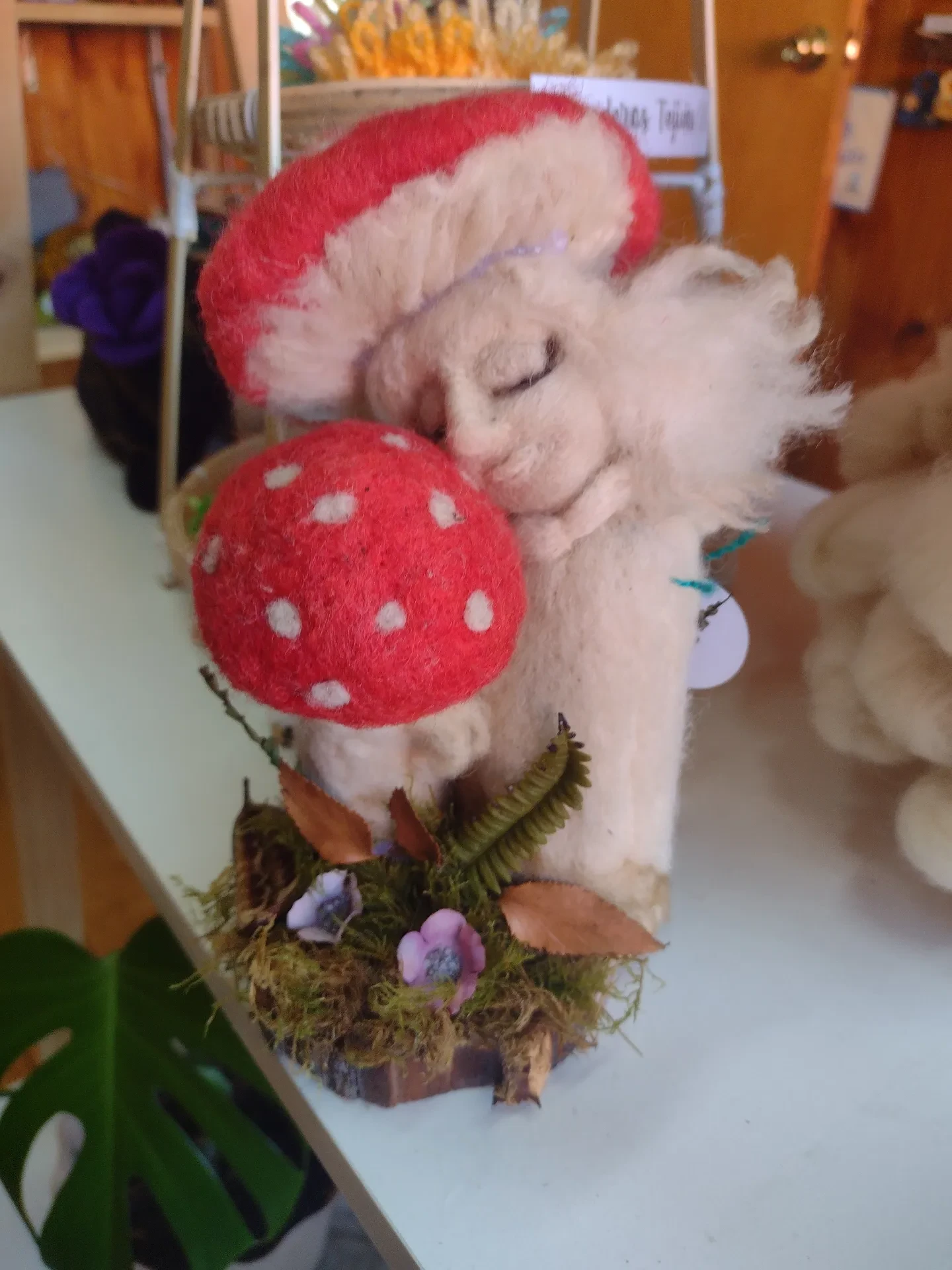 Amanita - Imagen 3
