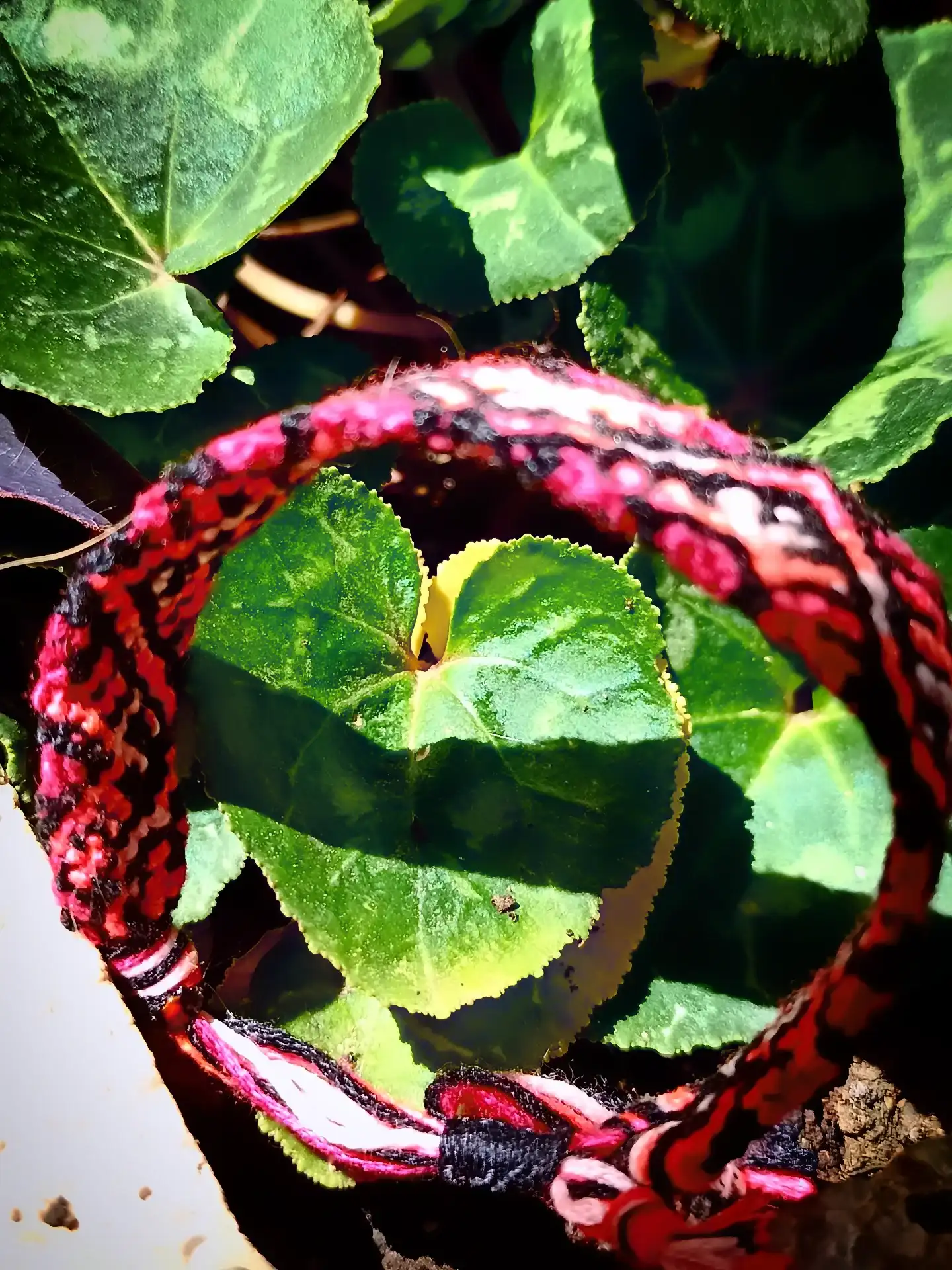 Pulsera macramé - Imagen 3