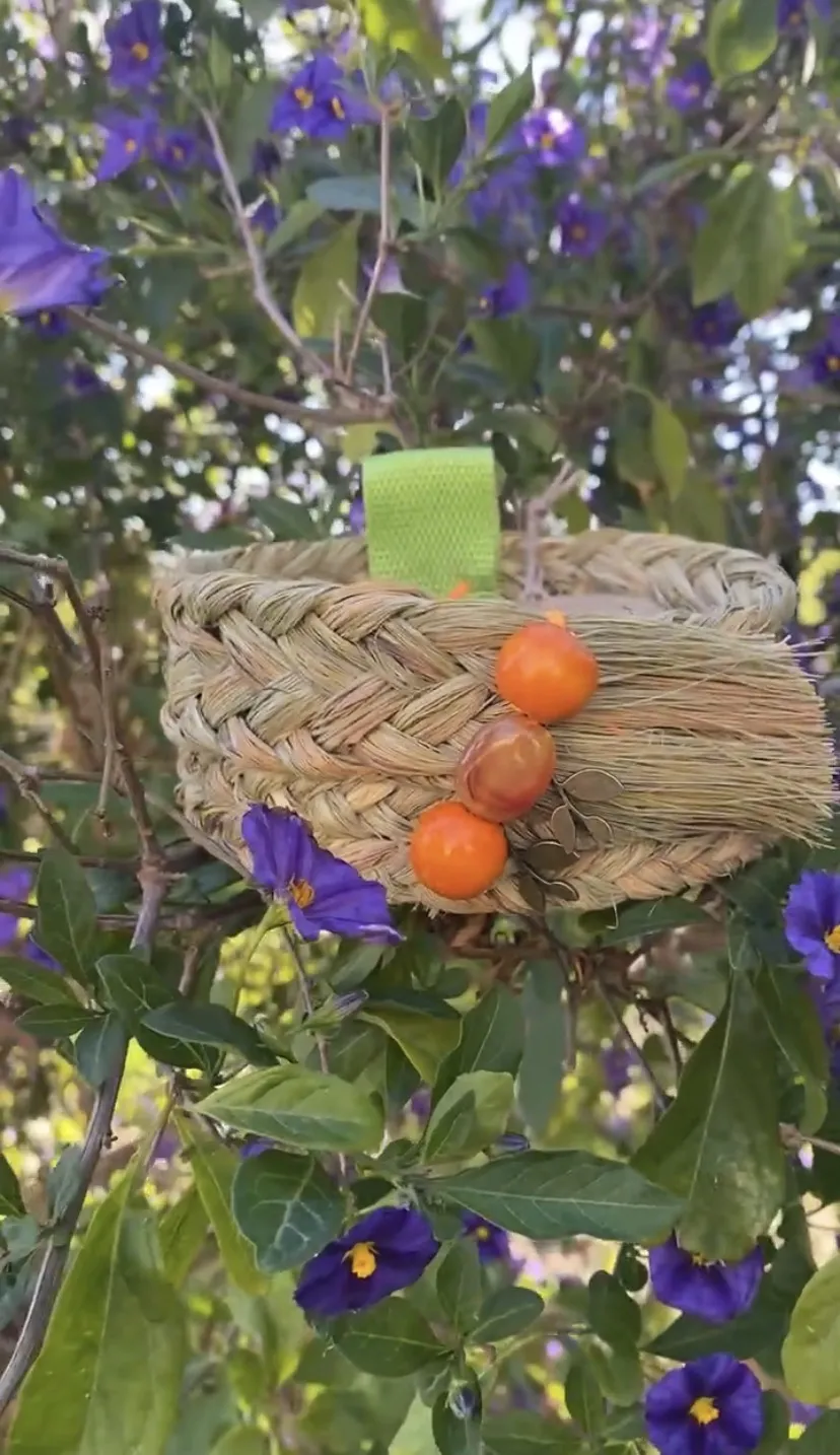 Cestito “Naranjo”