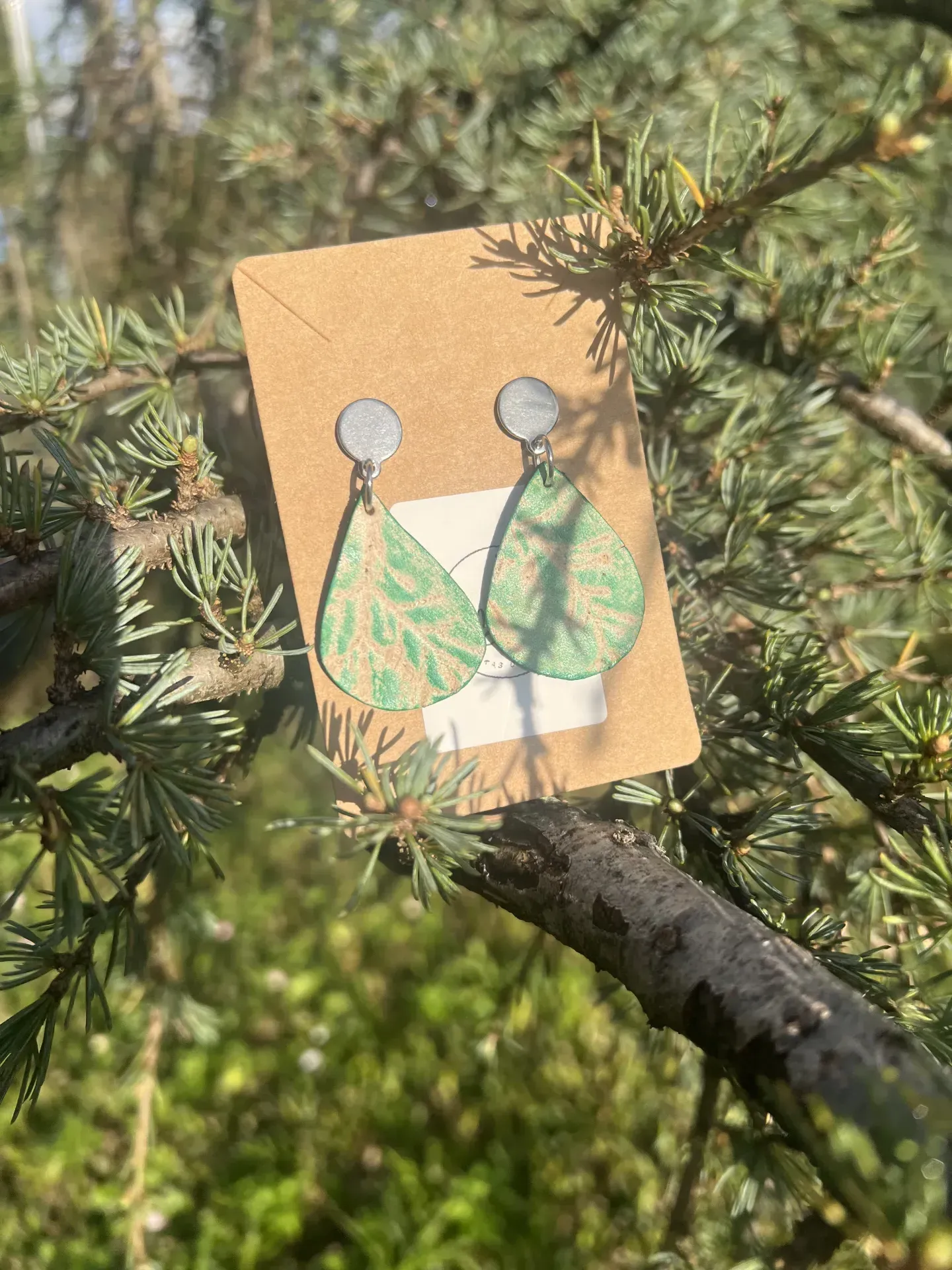 Pendicoiros  - Imagen 4