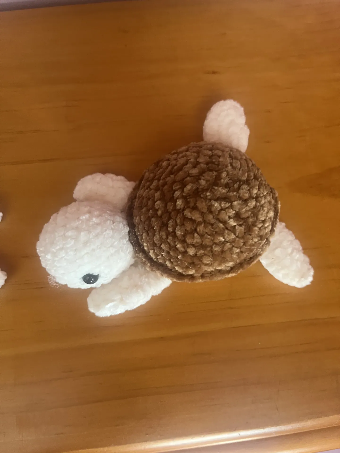 Tortuga ganchillo, amigurumi  - Imagen 2