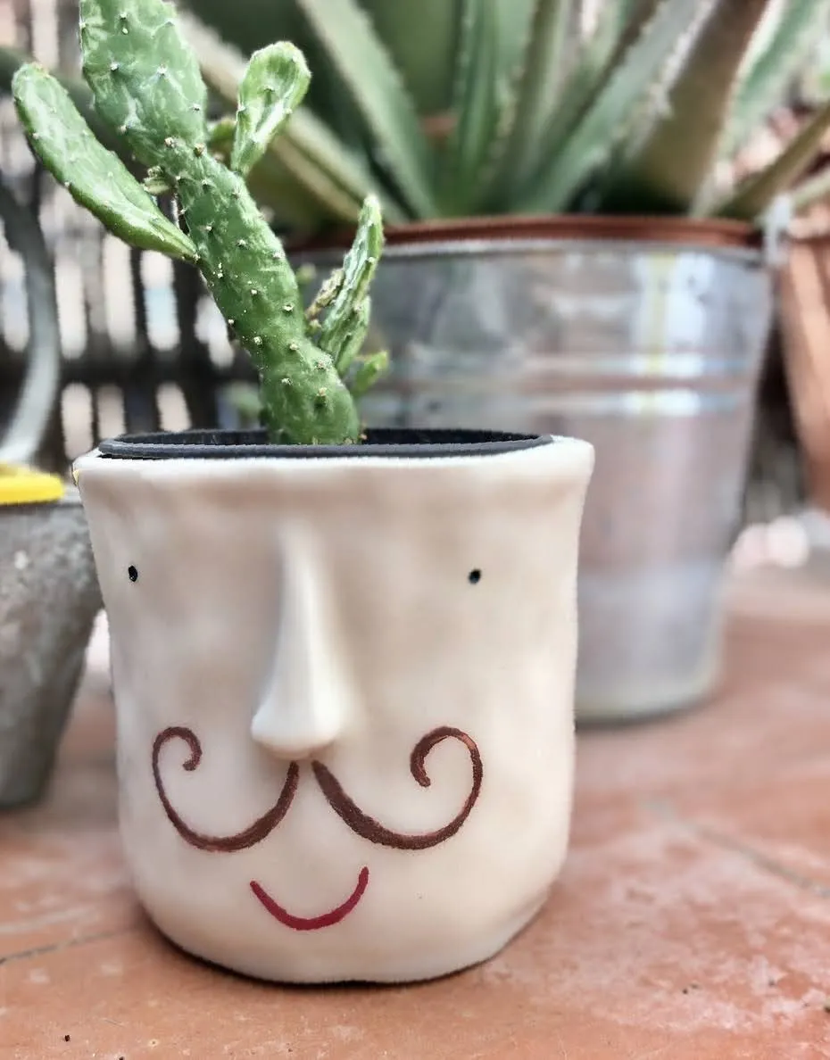 Maceta sonriente de cerámica