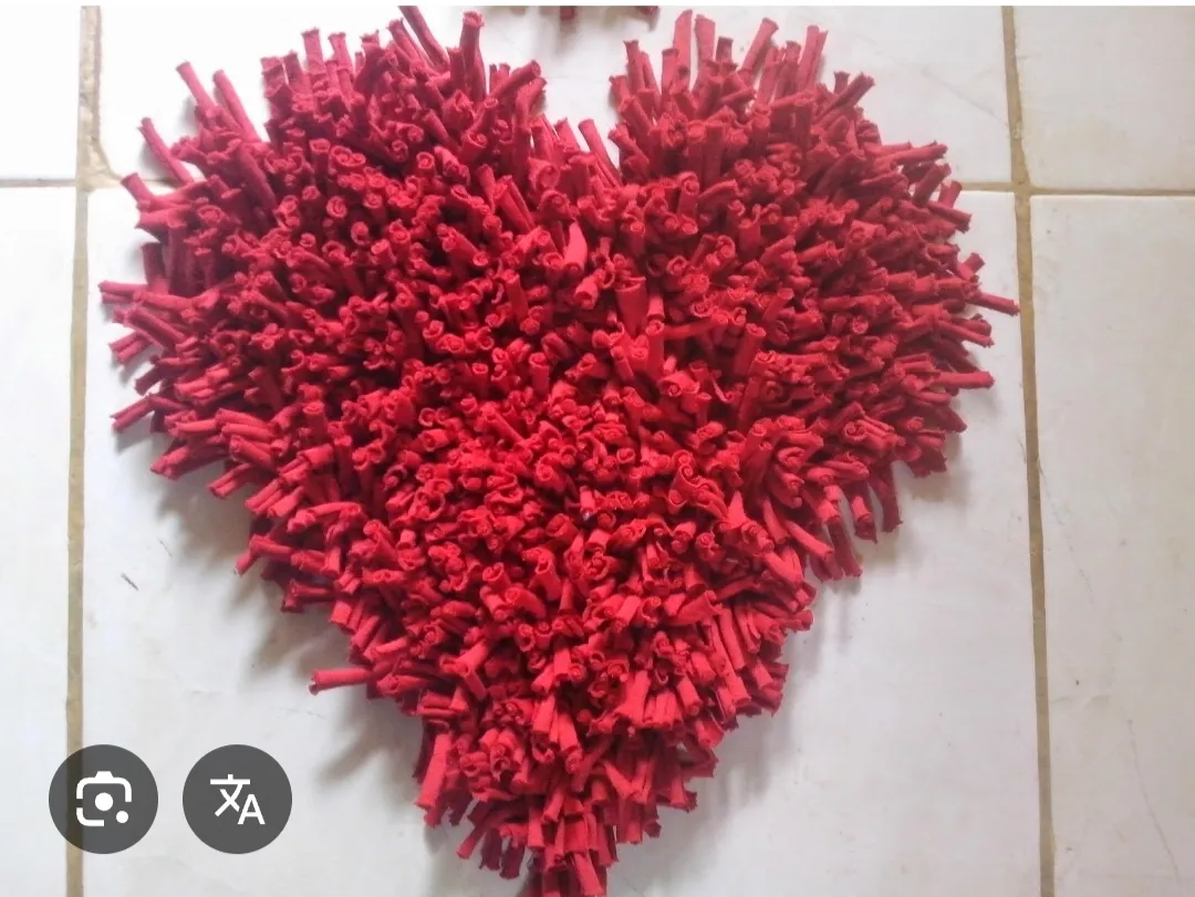 Tapete en Tripa de pollo - Imagen 4