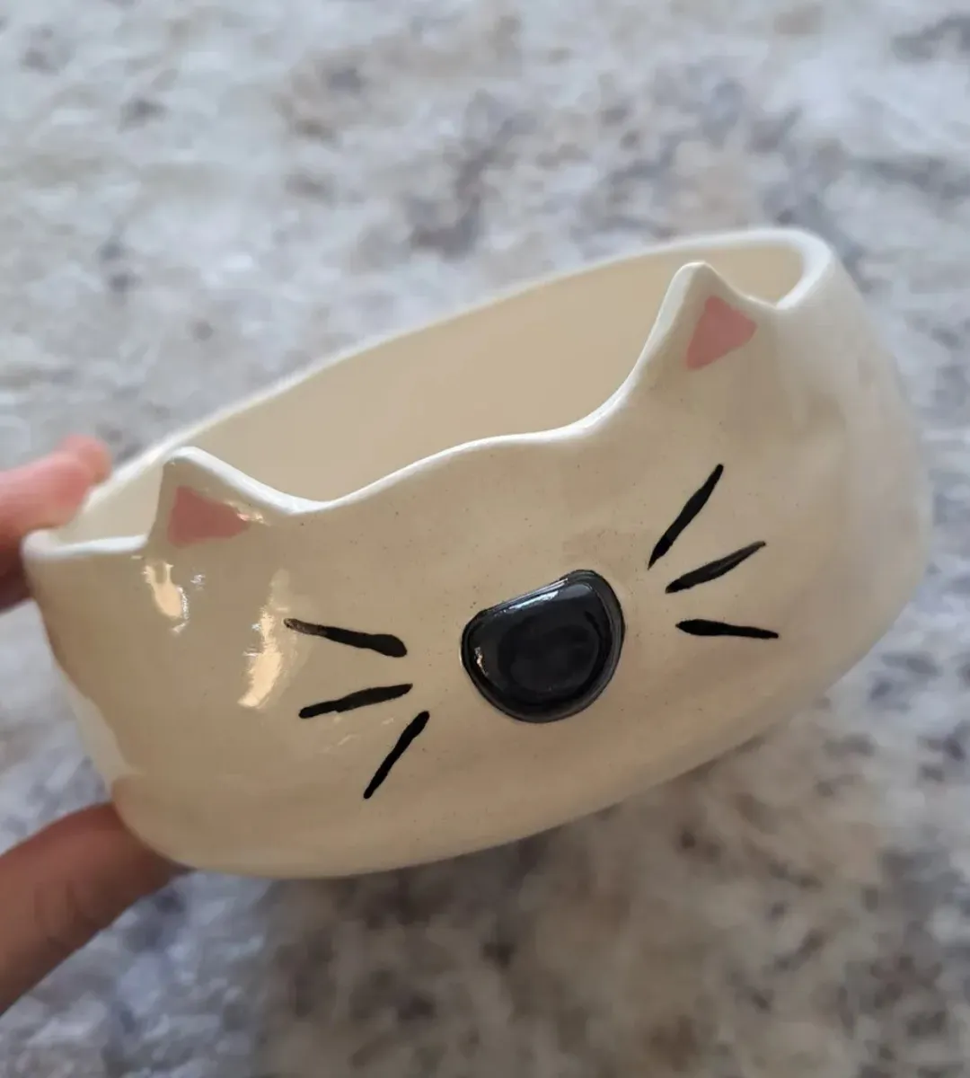 Cuenco para gato