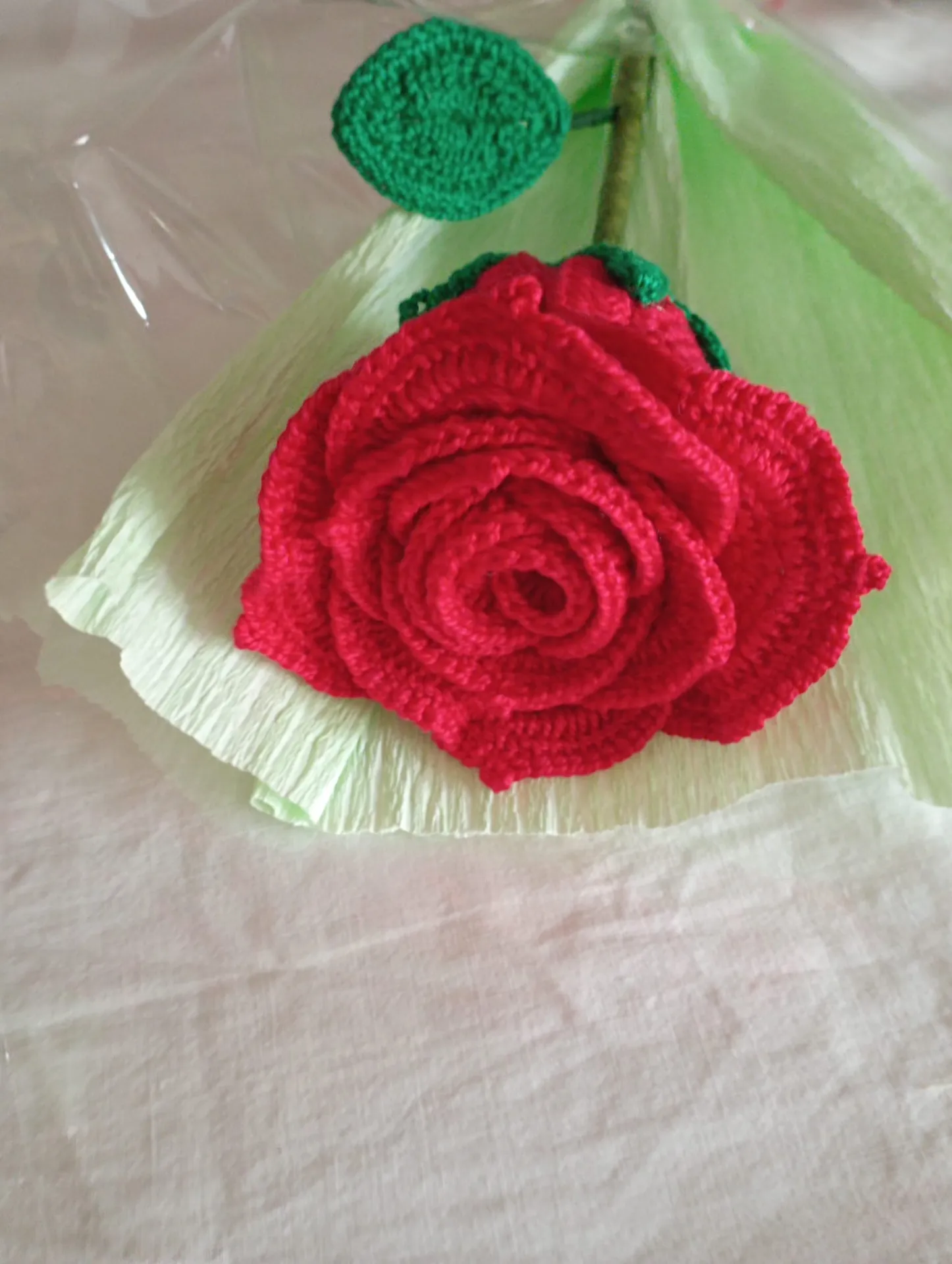 Rosa eterna