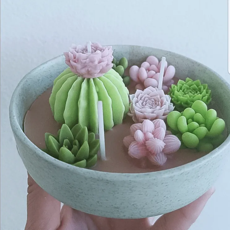 Vela jardín de cactus