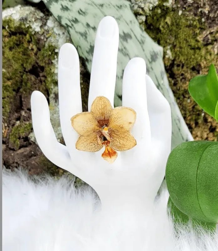 Nayre Jewelry: cuando la naturaleza se convierte en joya